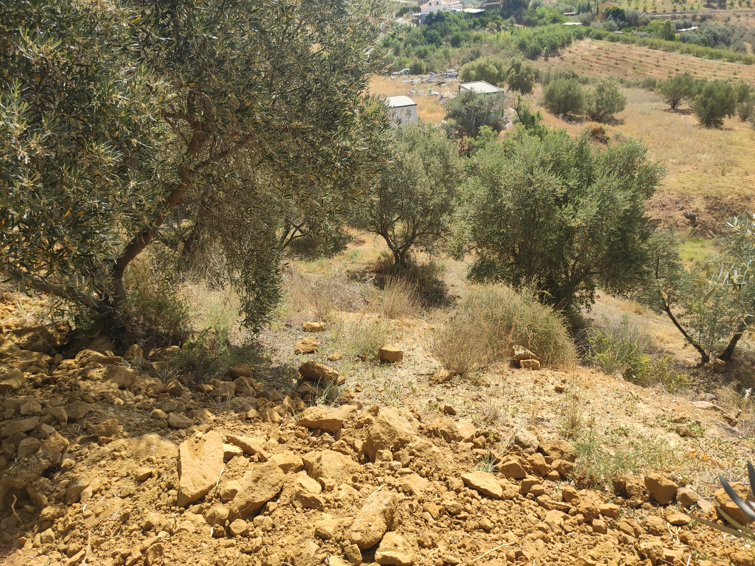 img-20230504-115213-jpg_5f684b7f-2413-4d1b-9f3e-0ca673143379