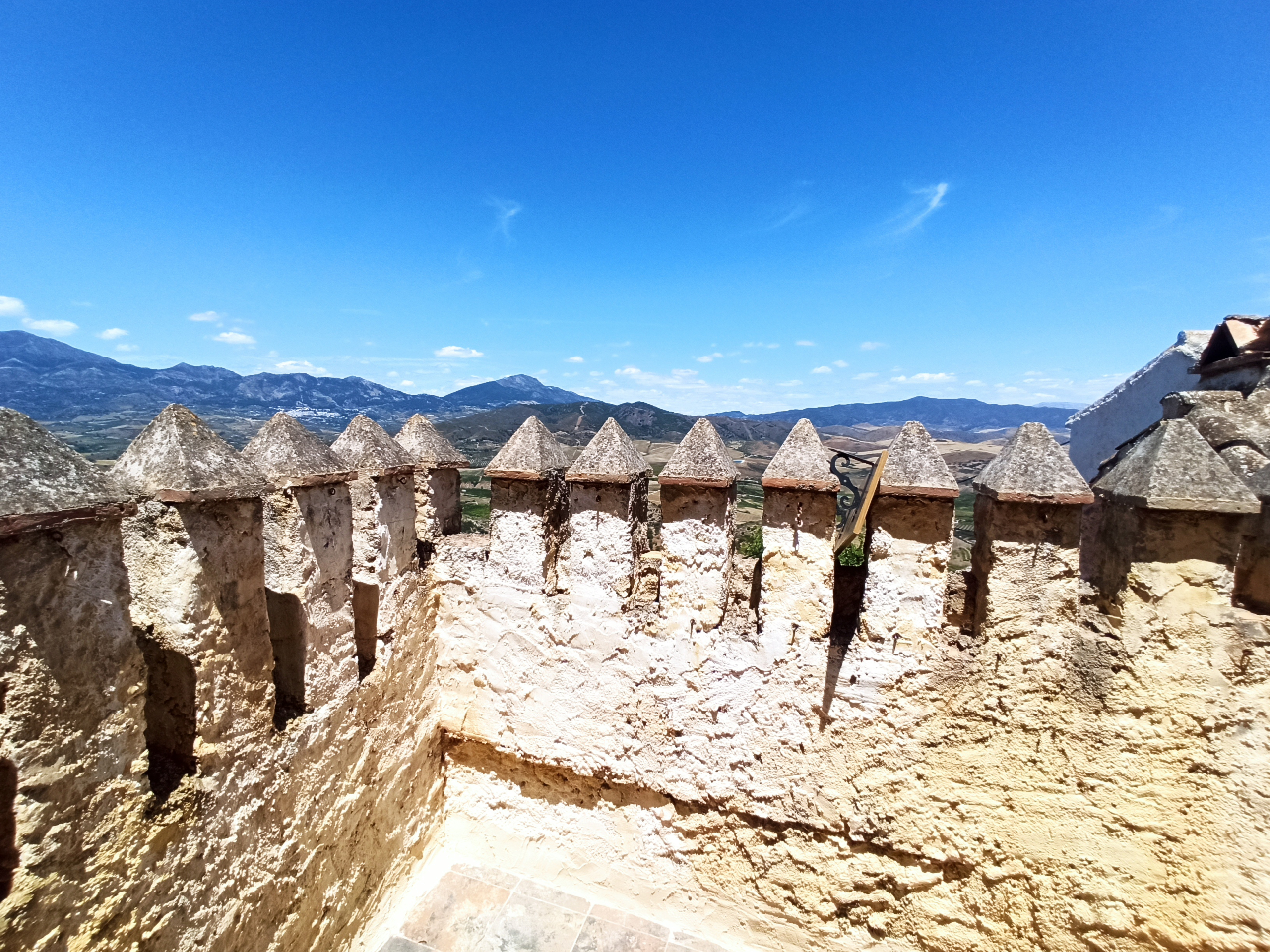 img-20230610-134248-jpg_ace83c3a-3937-48ca-89ad-21eb6b1dee5b