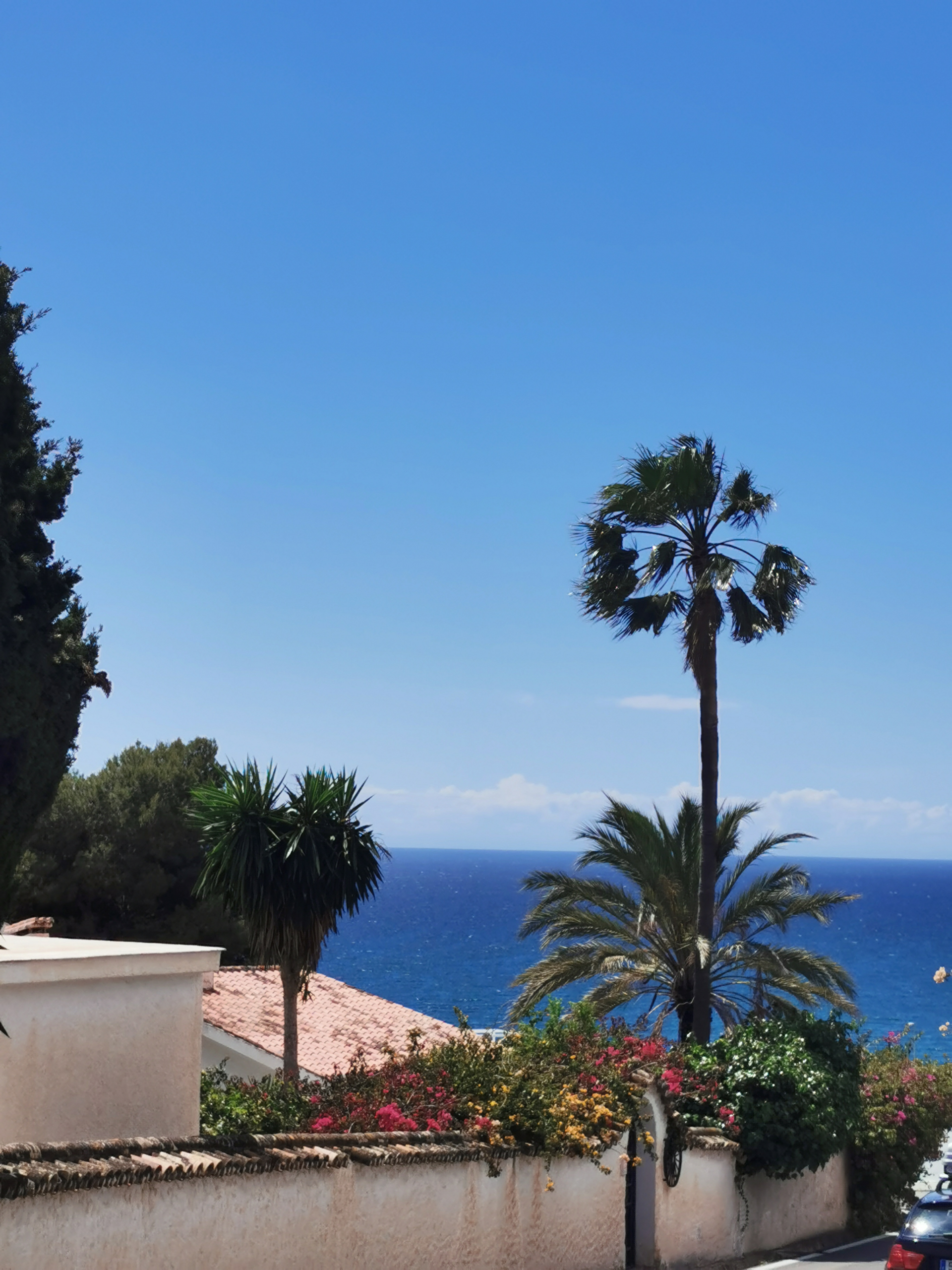 img-20240429-132144_0f8093f1-0a84-44c3-8b0f-e49d26dfb879