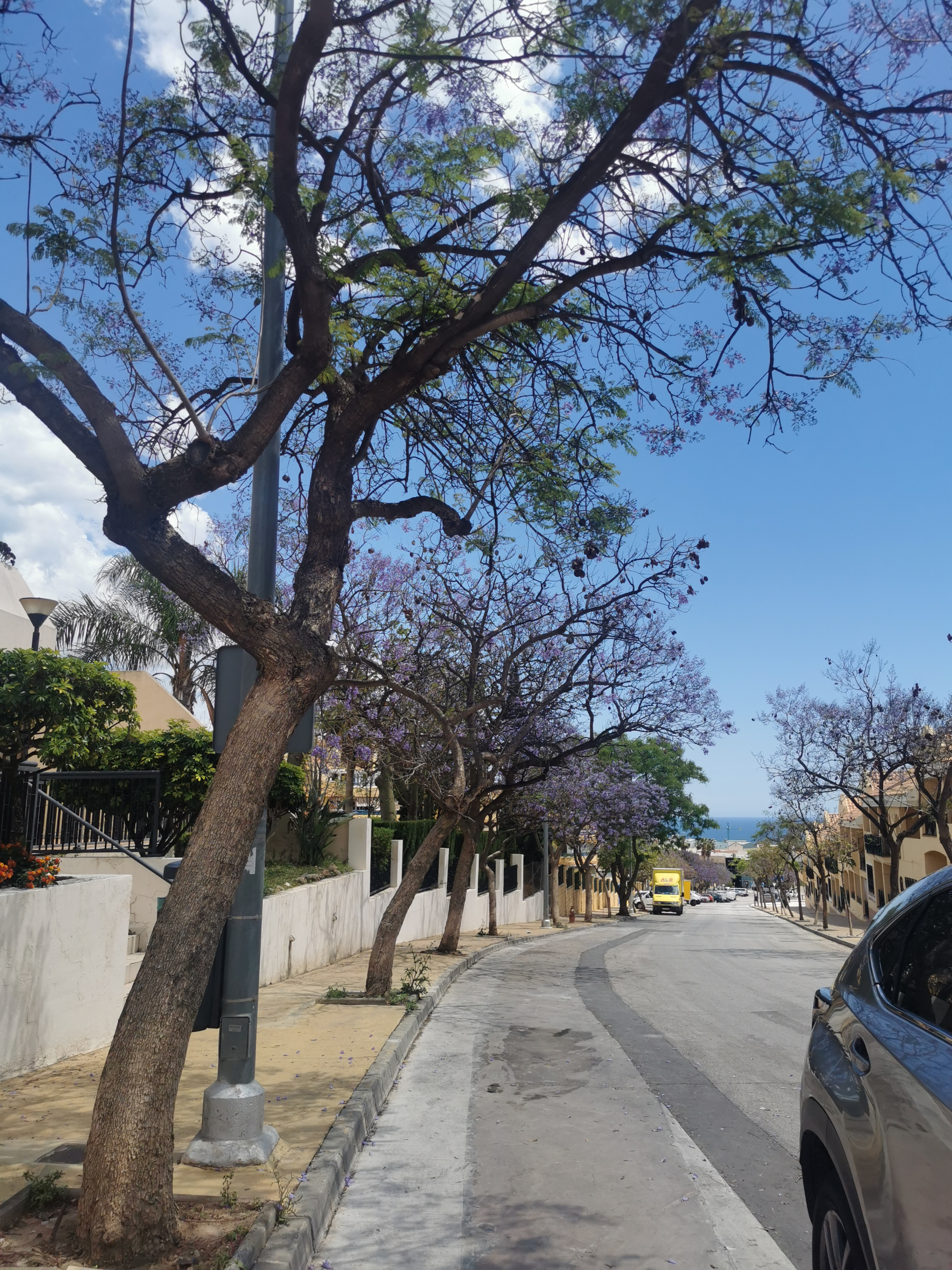 img-20240429-135556_019e1a60-a336-4257-b96a-eb1507a5e929