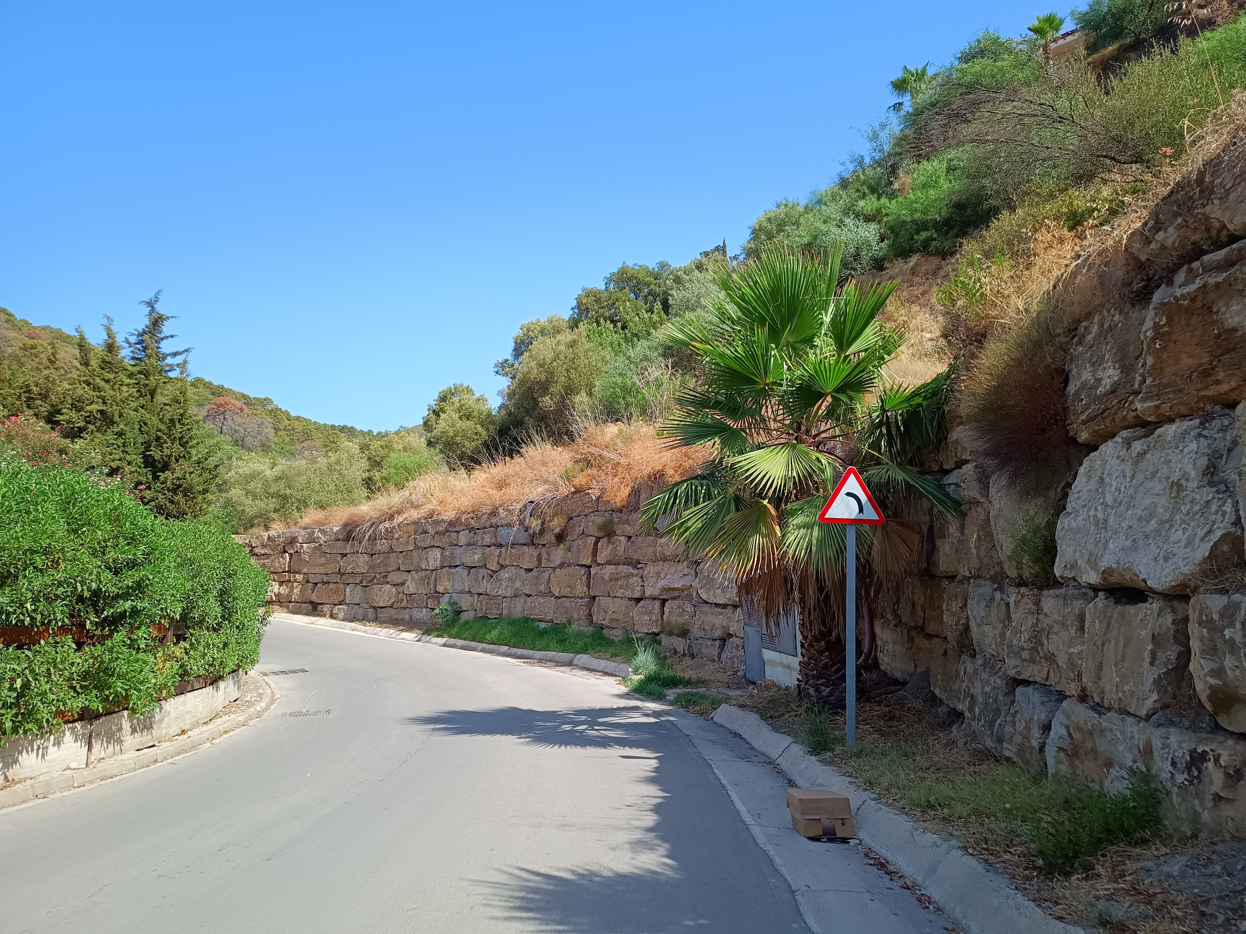 img-20240730-113300479_824fd3f2-a9ce-484c-89eb-1f76157a5b3a