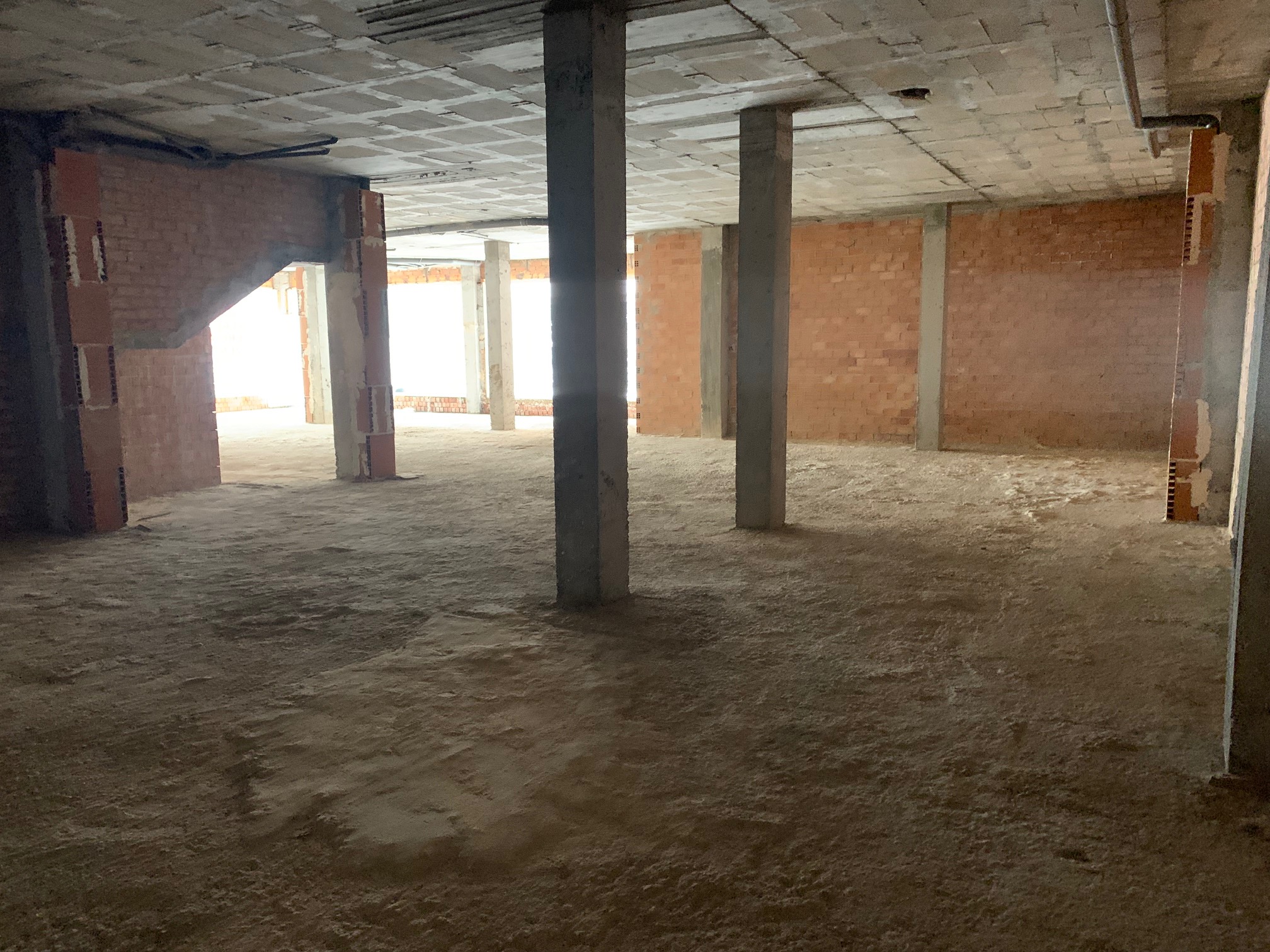 img-2572_29ed7de4-22cf-4ff7-b4ba-22da084b62ce