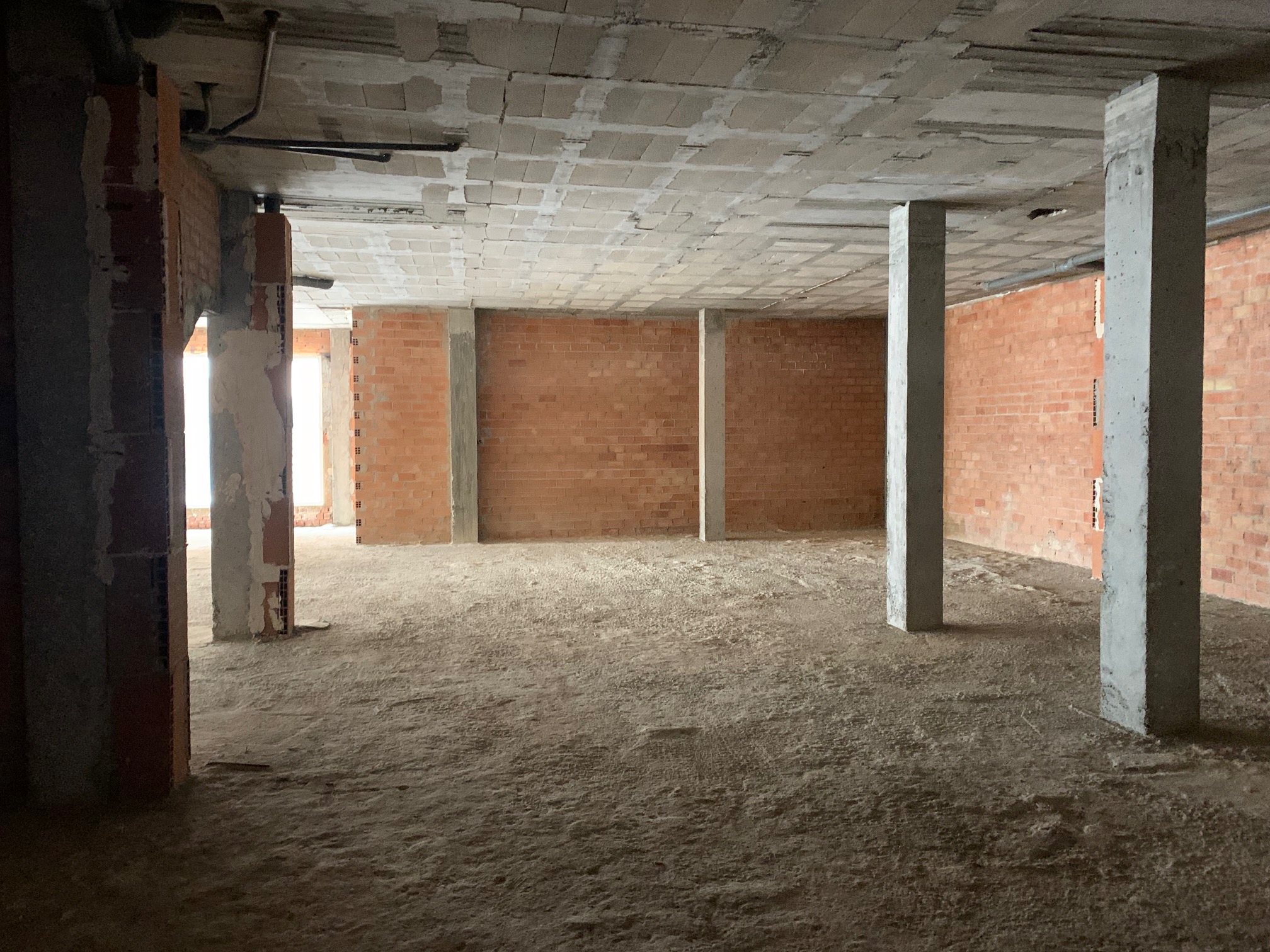 img-2573_45169f16-e150-4958-a796-d18ac8f51d2b