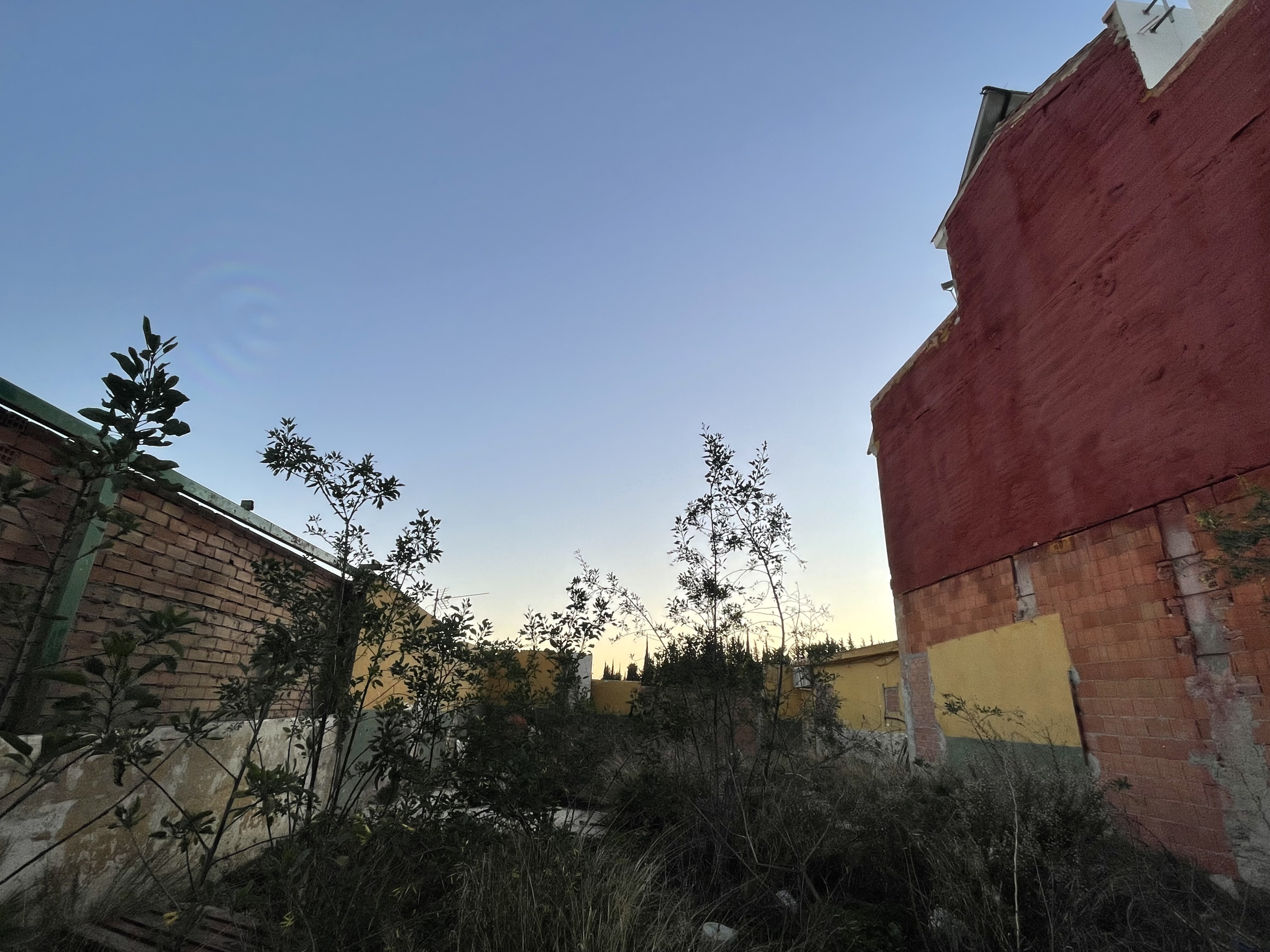 img-5823_9cbd15e1-73e7-4b79-b3d7-7c4aa1f3f64c