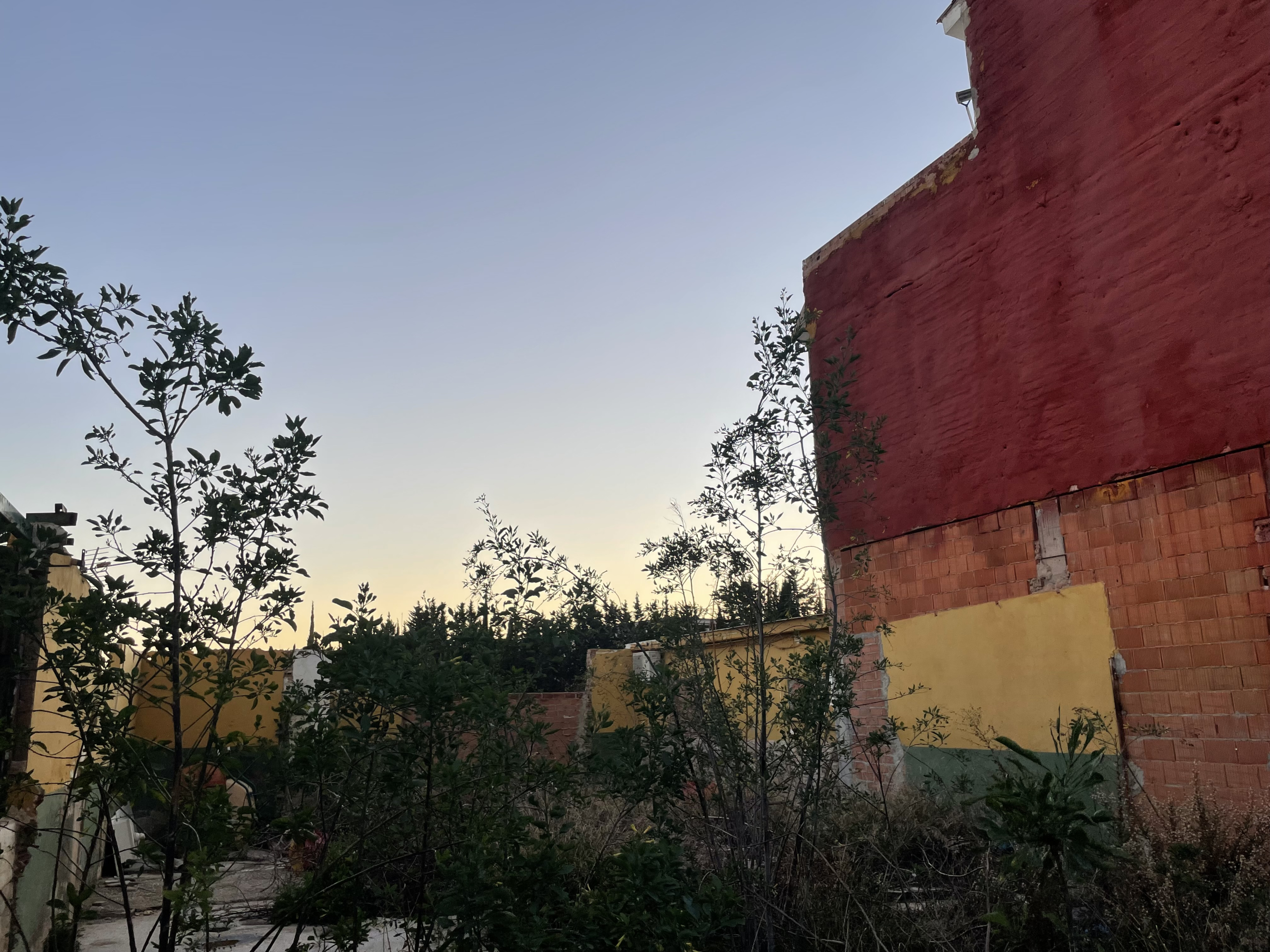 img-5824_225752b1-05fe-4cf0-9e3d-f3fc32c63aed