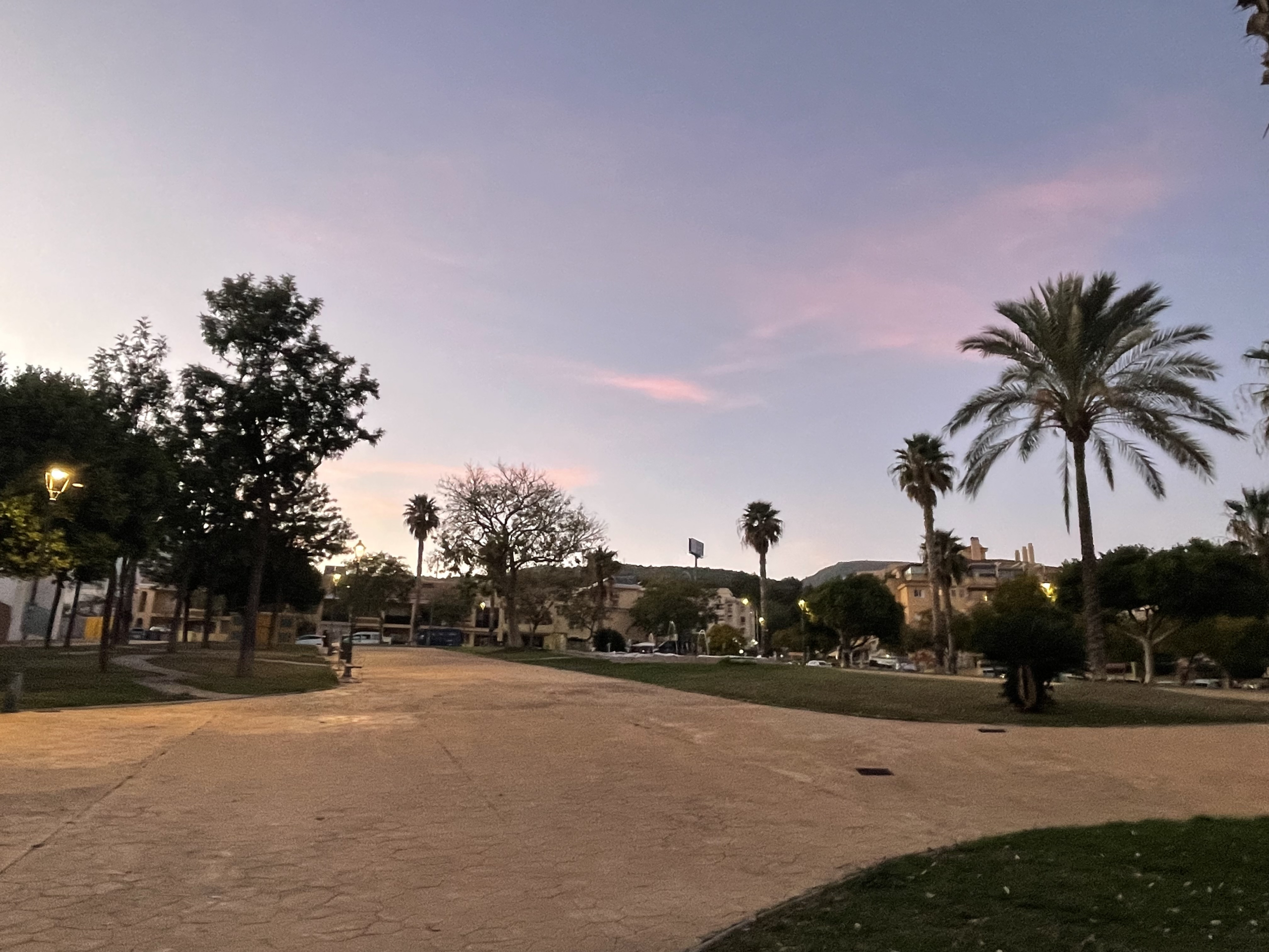 img-5826_5e11c279-e97a-485a-b297-860936d7104e