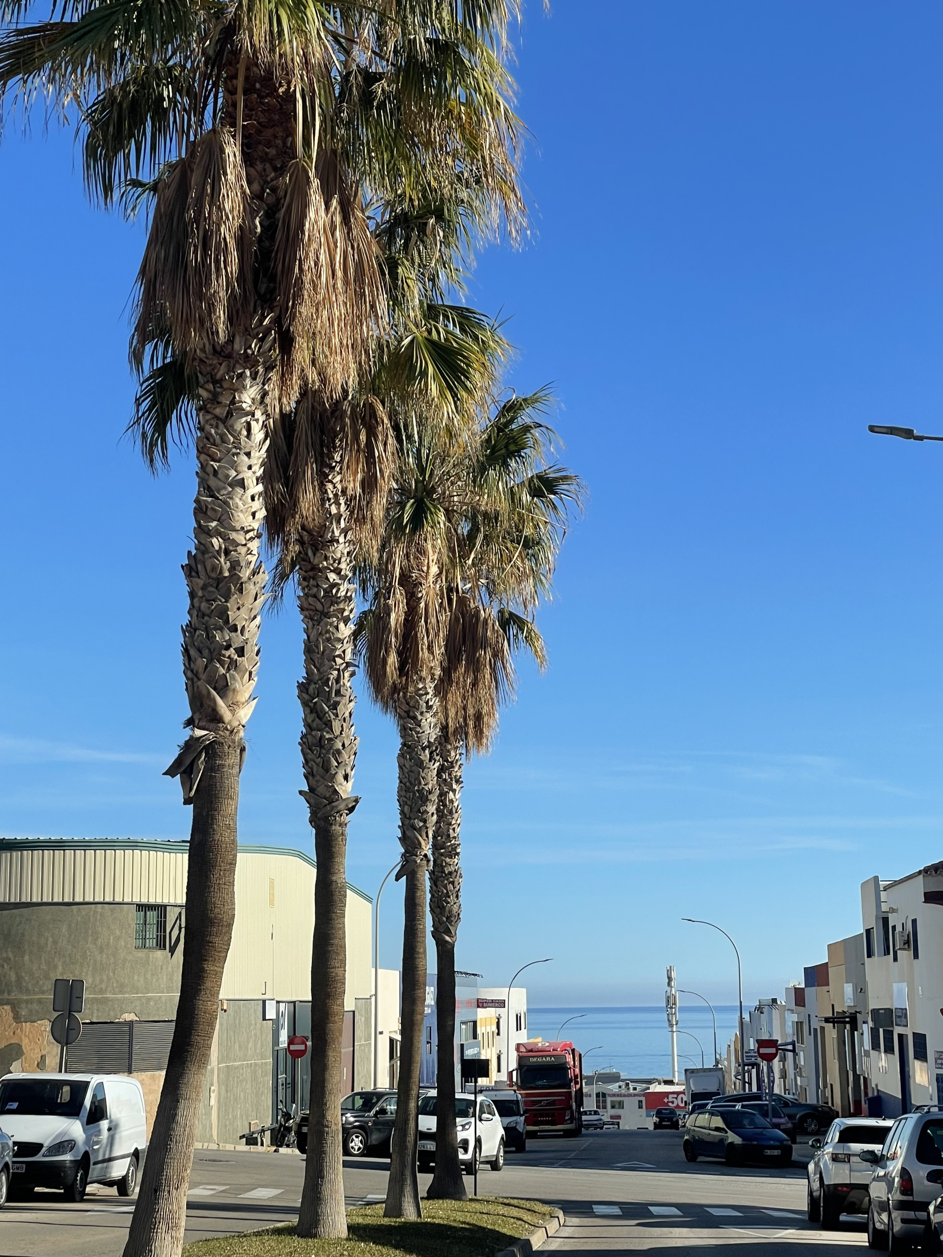 img-5903_7252e993-2e66-4a48-83fa-c8e640afce09