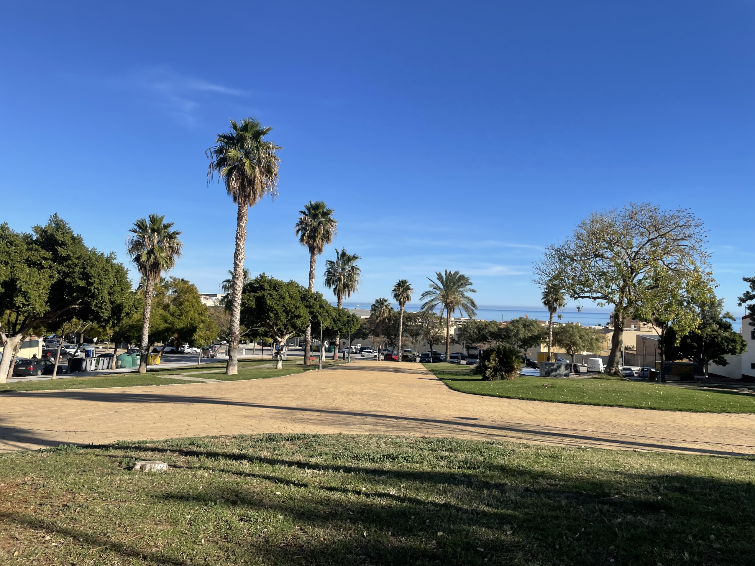 img-5905_17fb1d3d-1906-4212-8e89-e16bf26ccefc