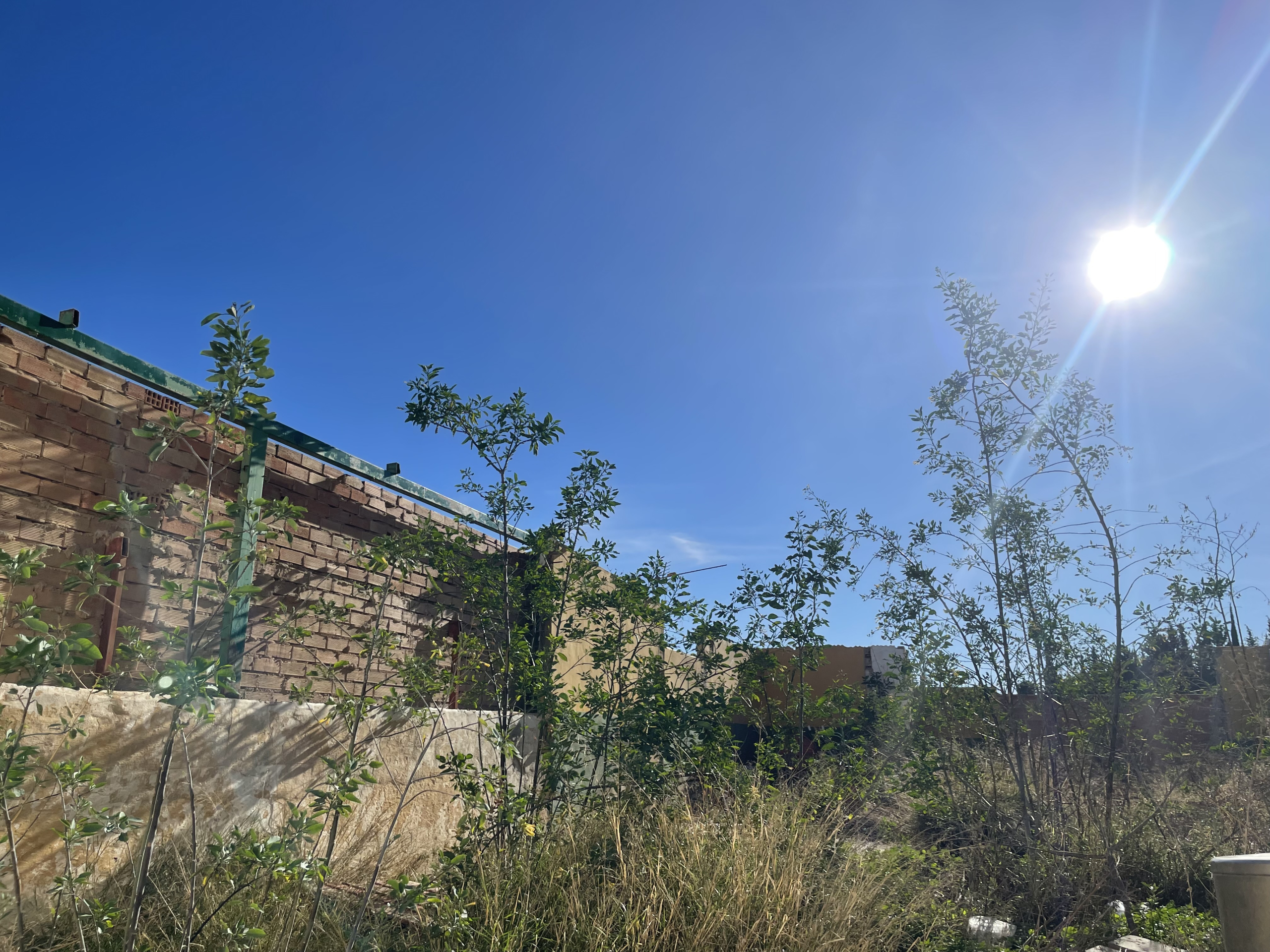 img-5914_1c42d951-b79d-4768-9227-599760596658