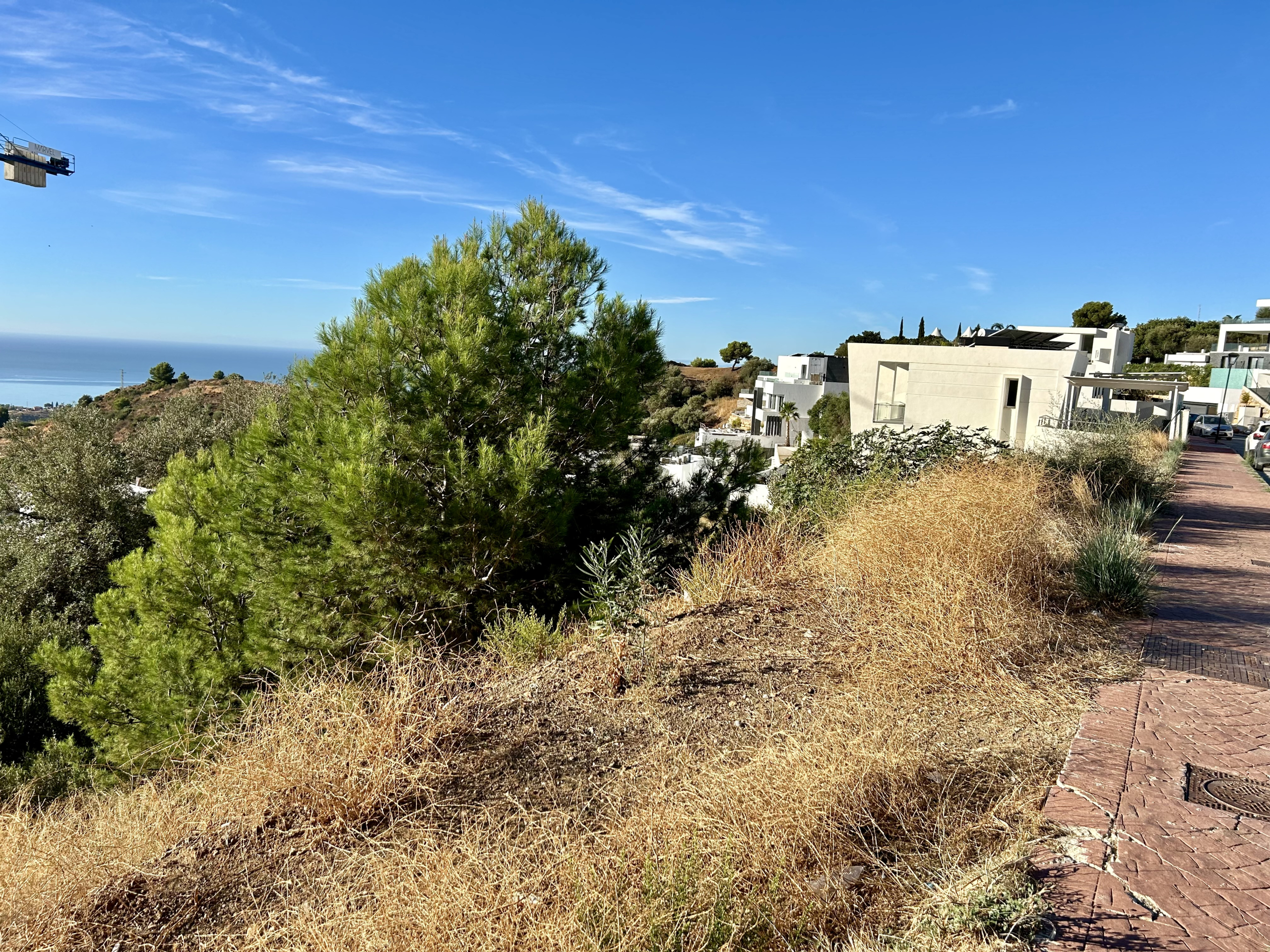 img-6378_c2646c61-f626-44d7-914d-cf2ed8f4dae5