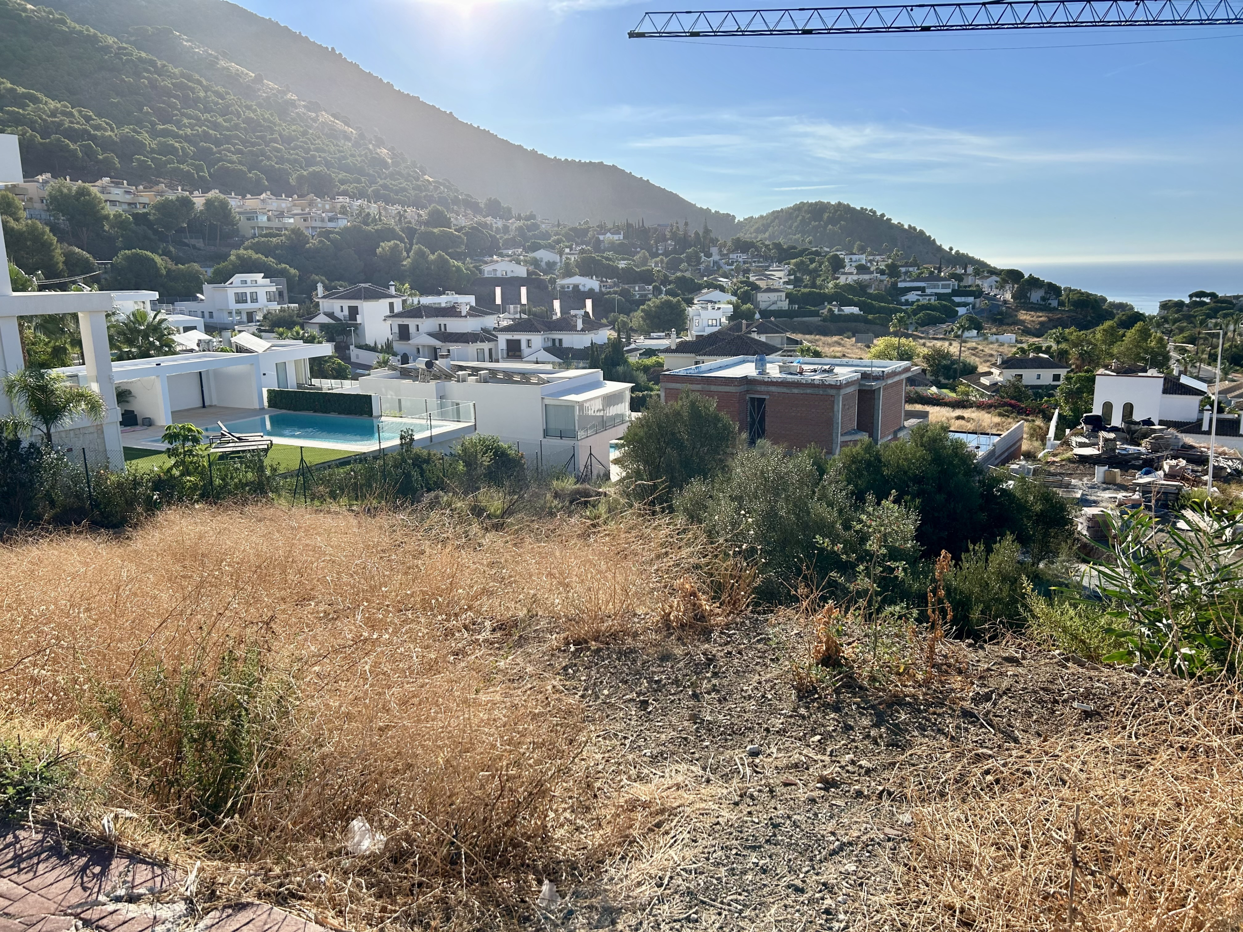 img-6379_d97bc7ee-e134-4f6a-8128-da49439ed41f