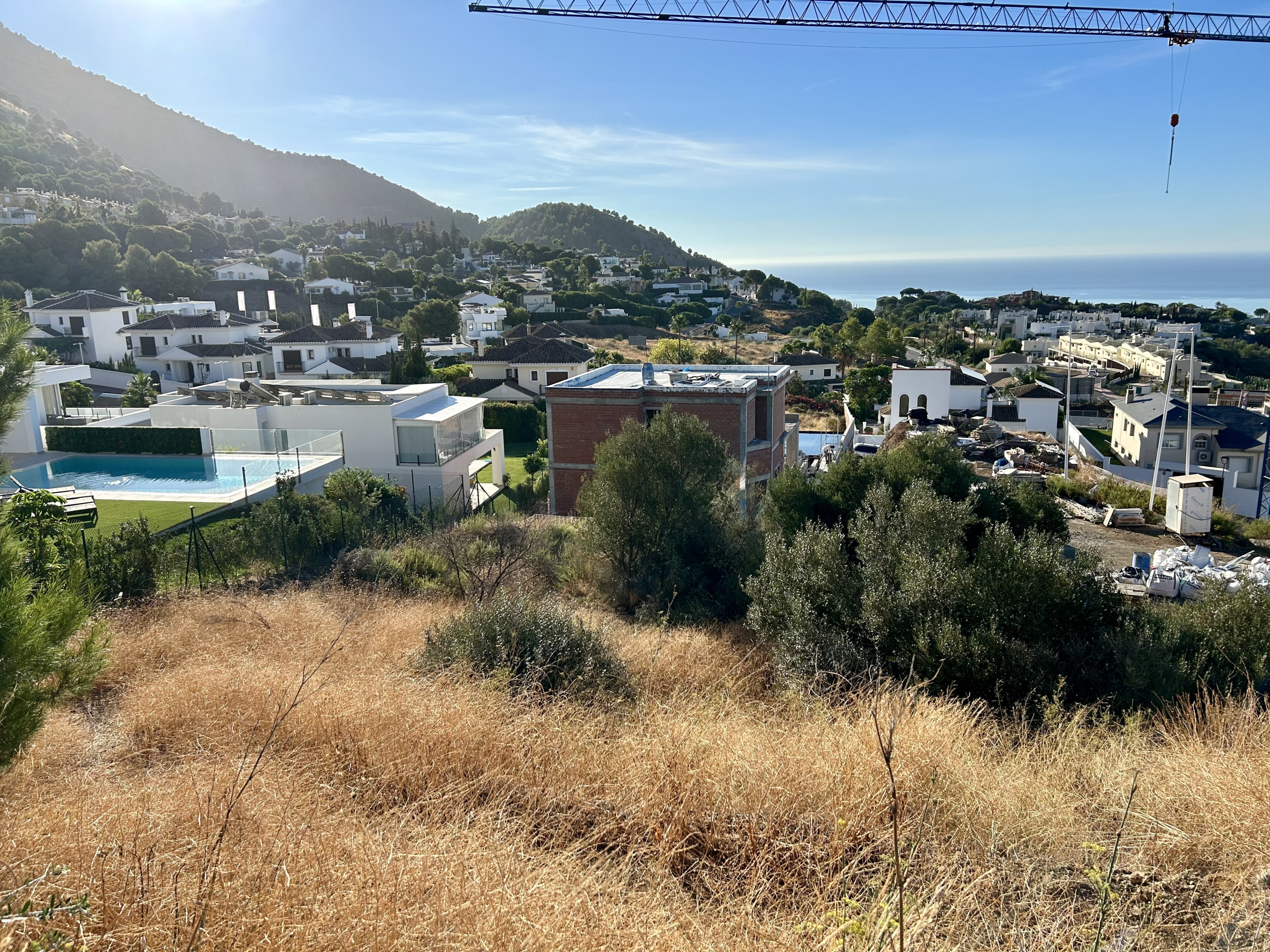 img-6381_12ce67b8-3d94-4960-ae50-fdeed4862e6f