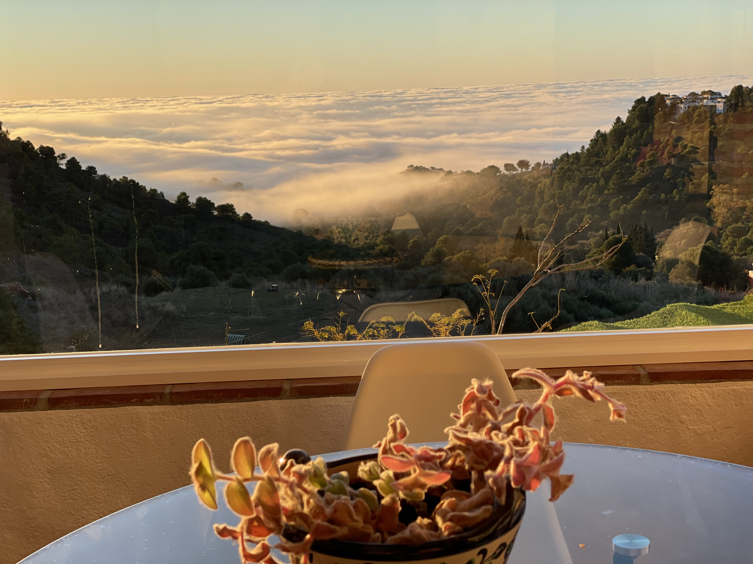 img-8144_86df3681-35ef-42c2-a5be-306921bf26c8