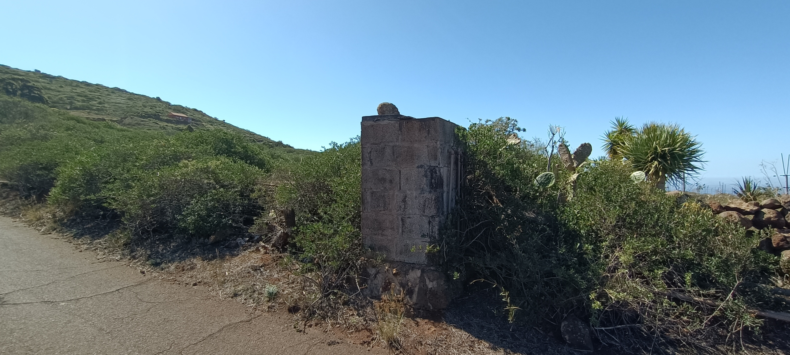 img20240222124451_967addd2-5ed1-4145-a6ab-3a11fca66a19