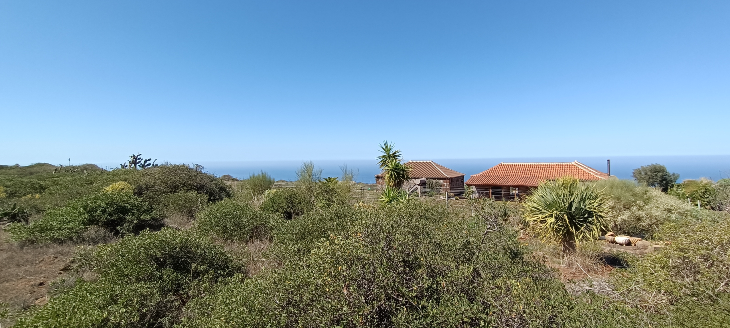 img20240222124516_7defc1c7-5573-4dae-bf89-9c83cc366b58