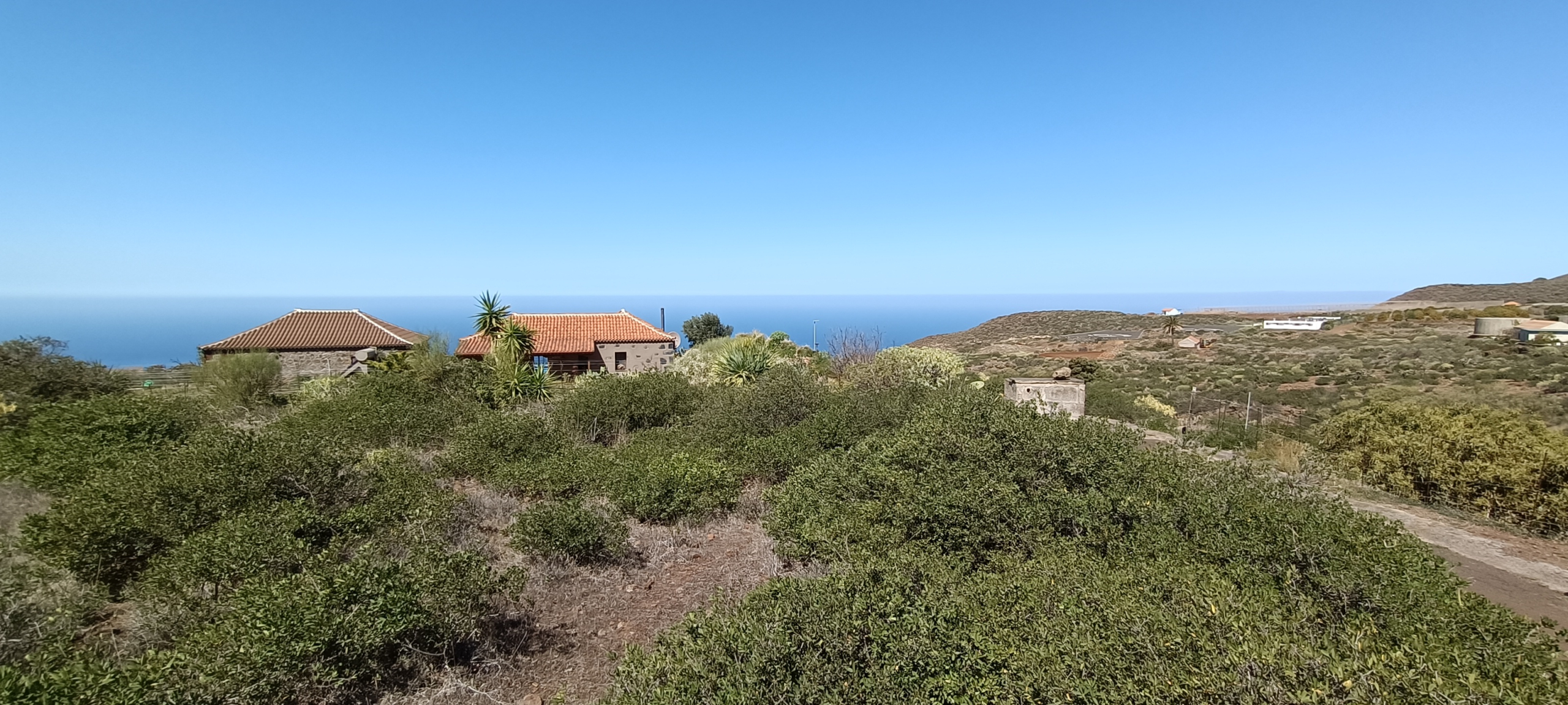 img20240222124552_7754182b-aa57-4e8e-b5c2-4c1b12d014a8