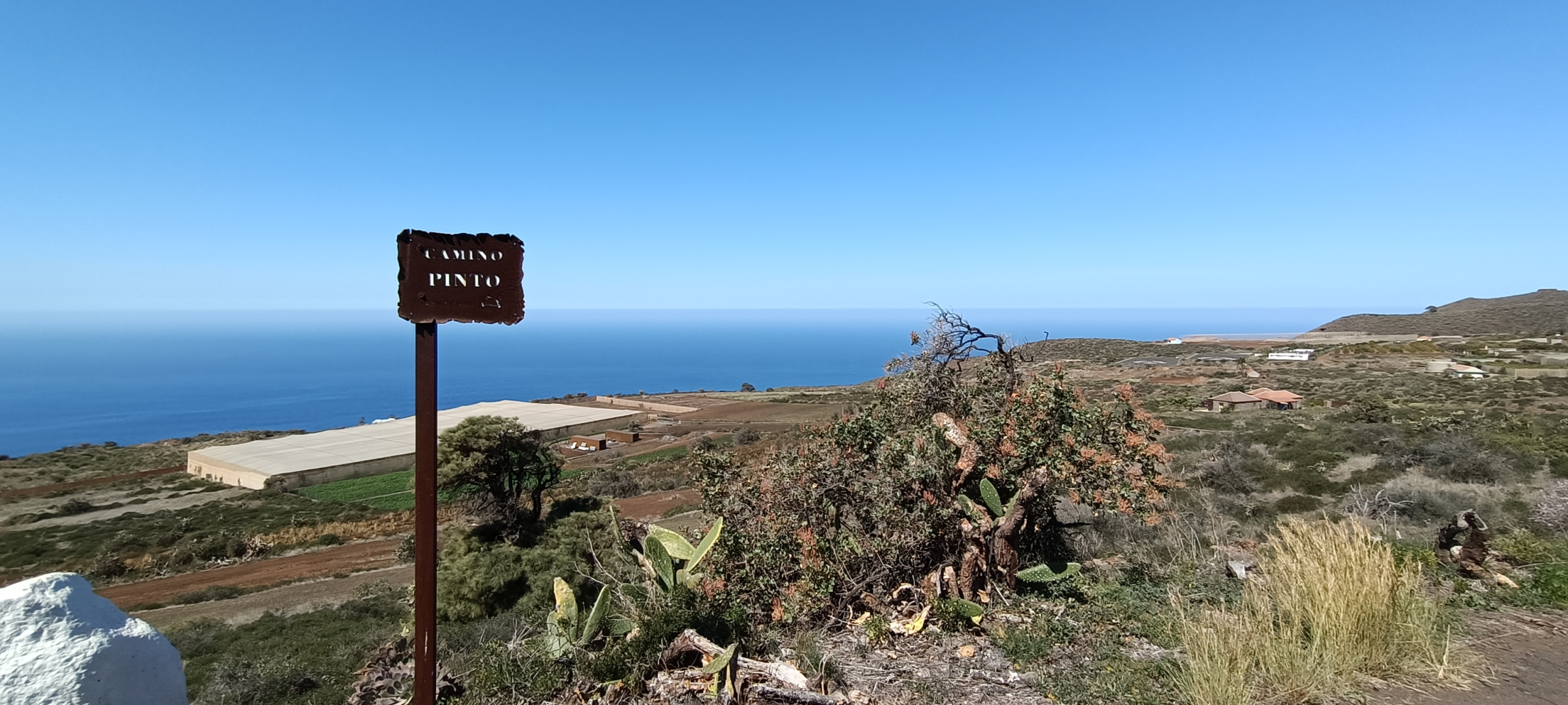 img20240222133842_99702b96-5b5b-4a3d-b52a-7e815bb5790f