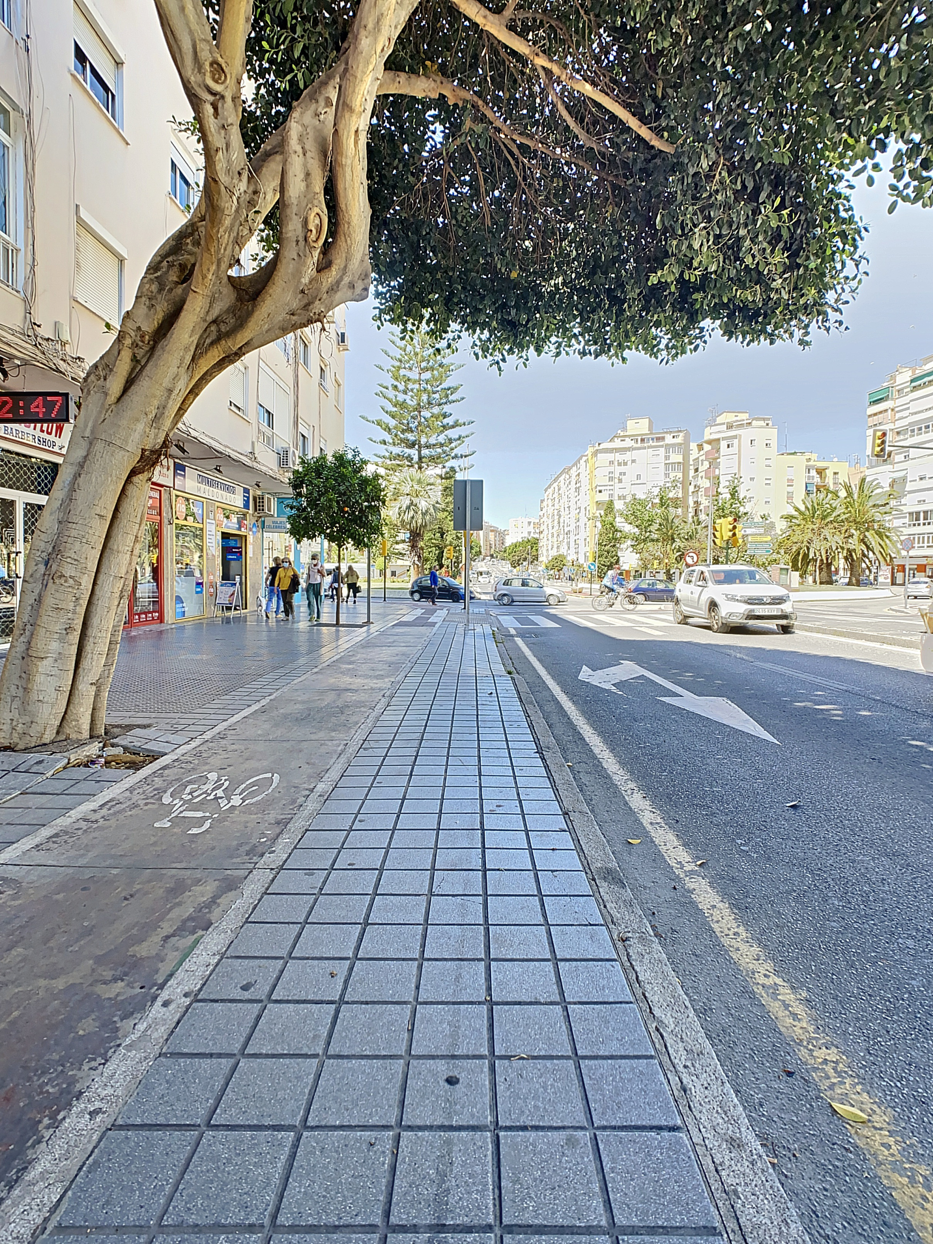 localmalaga-1620814148-1620816283-16348-a525907_132b5e93-e49f-42be-8a8e-5cc731b56767