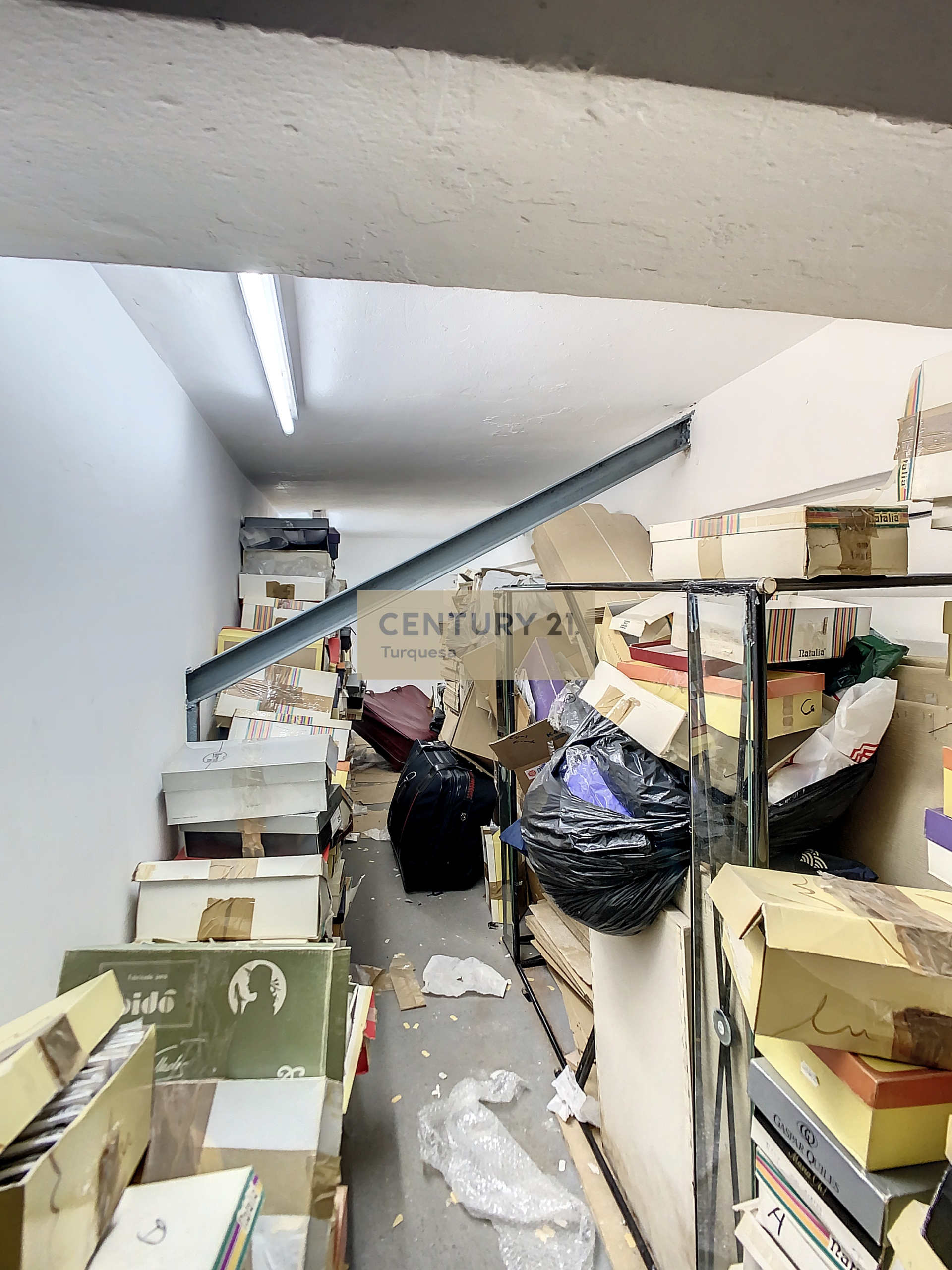 localplazagambaalegre-1671550612-1671553426-53548-5c2138c_533a31b6-e140-4ccb-a5e1-783b2d058392