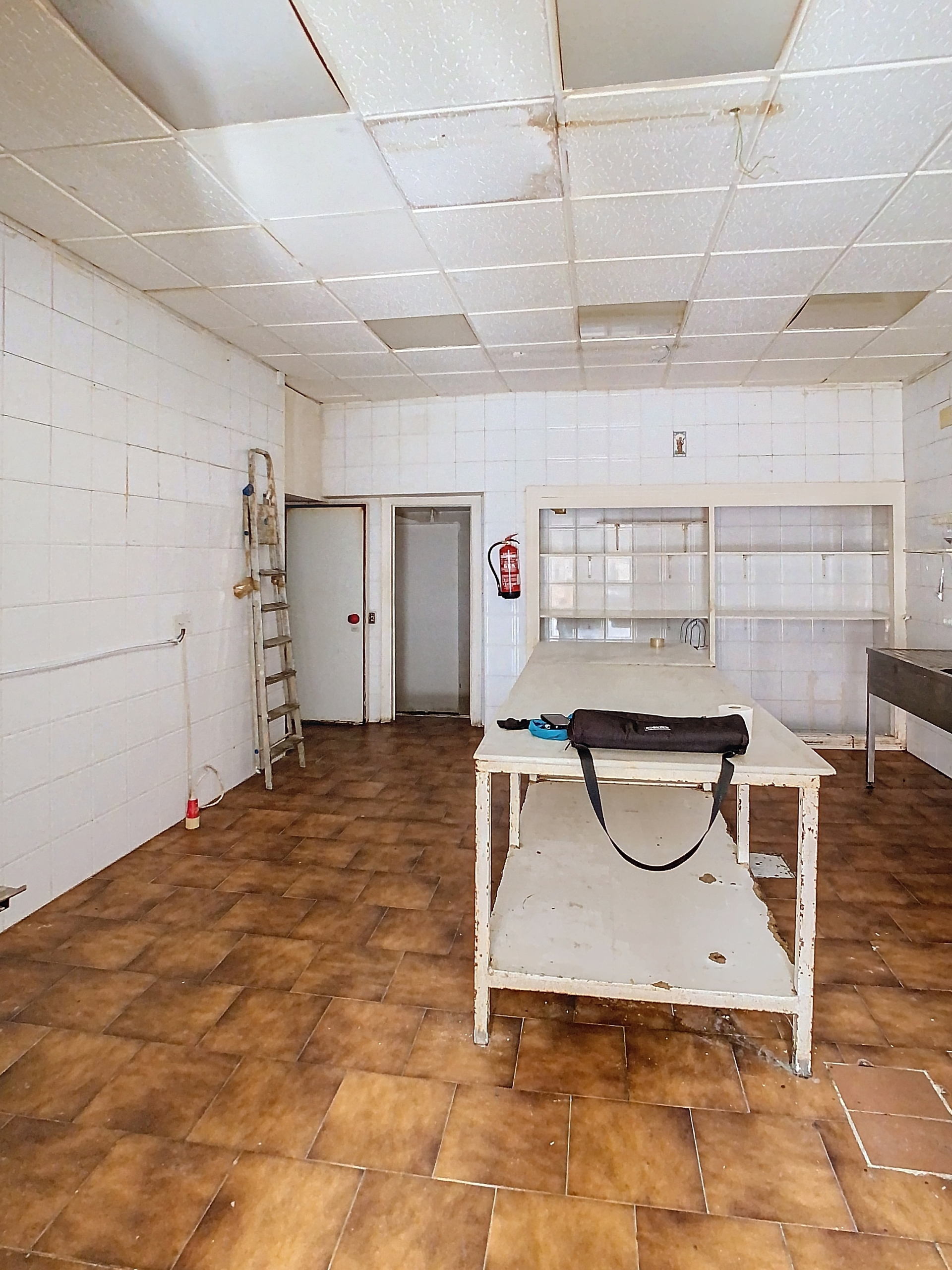 manuel-torres-pena-00005-9e039be_32024160-834f-4c0d-b4e6-52d0ce959d86