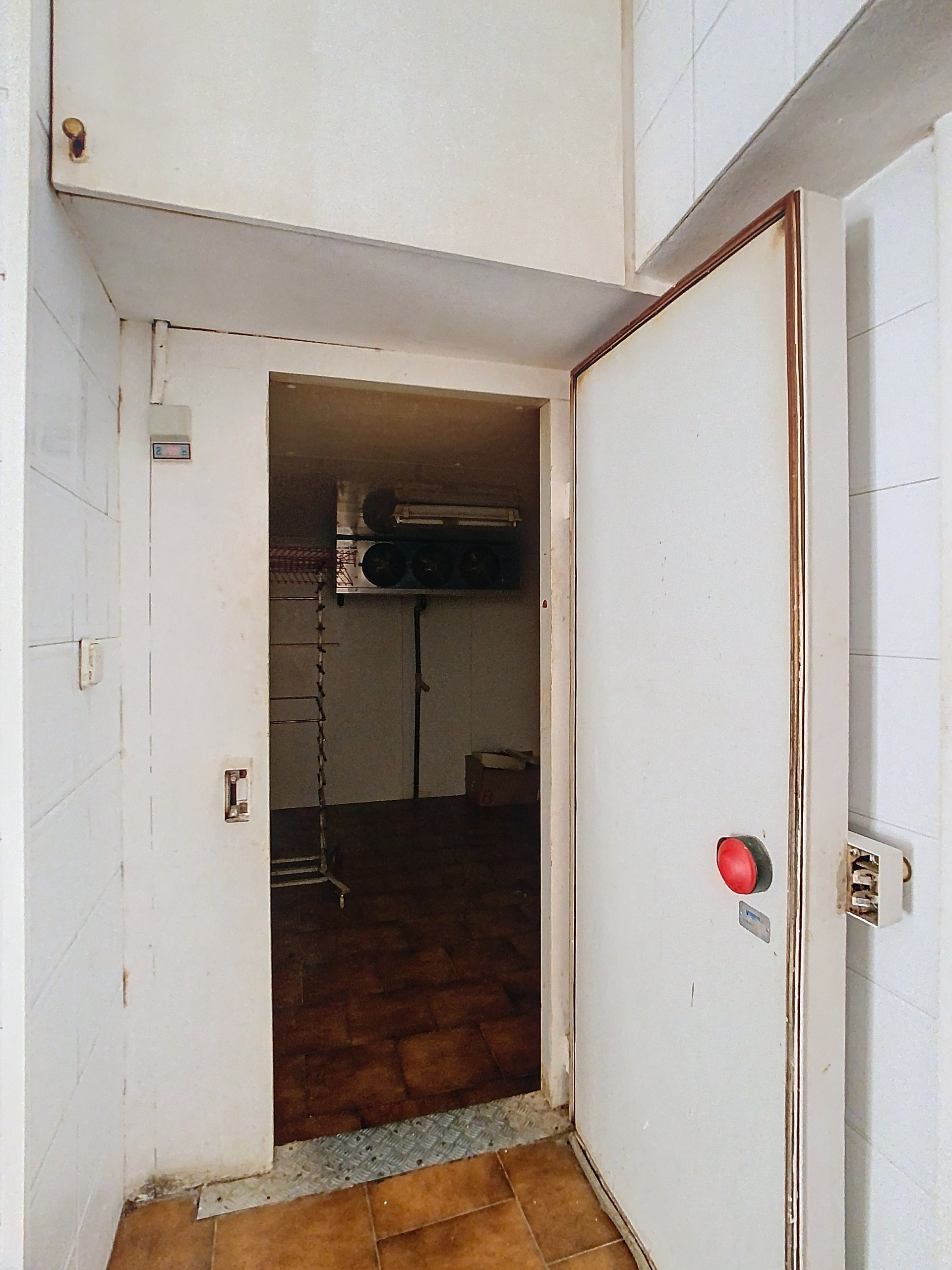 manuel-torres-pena-00006-65fd04f_7ca50d57-b915-417e-a147-166d88c230c4