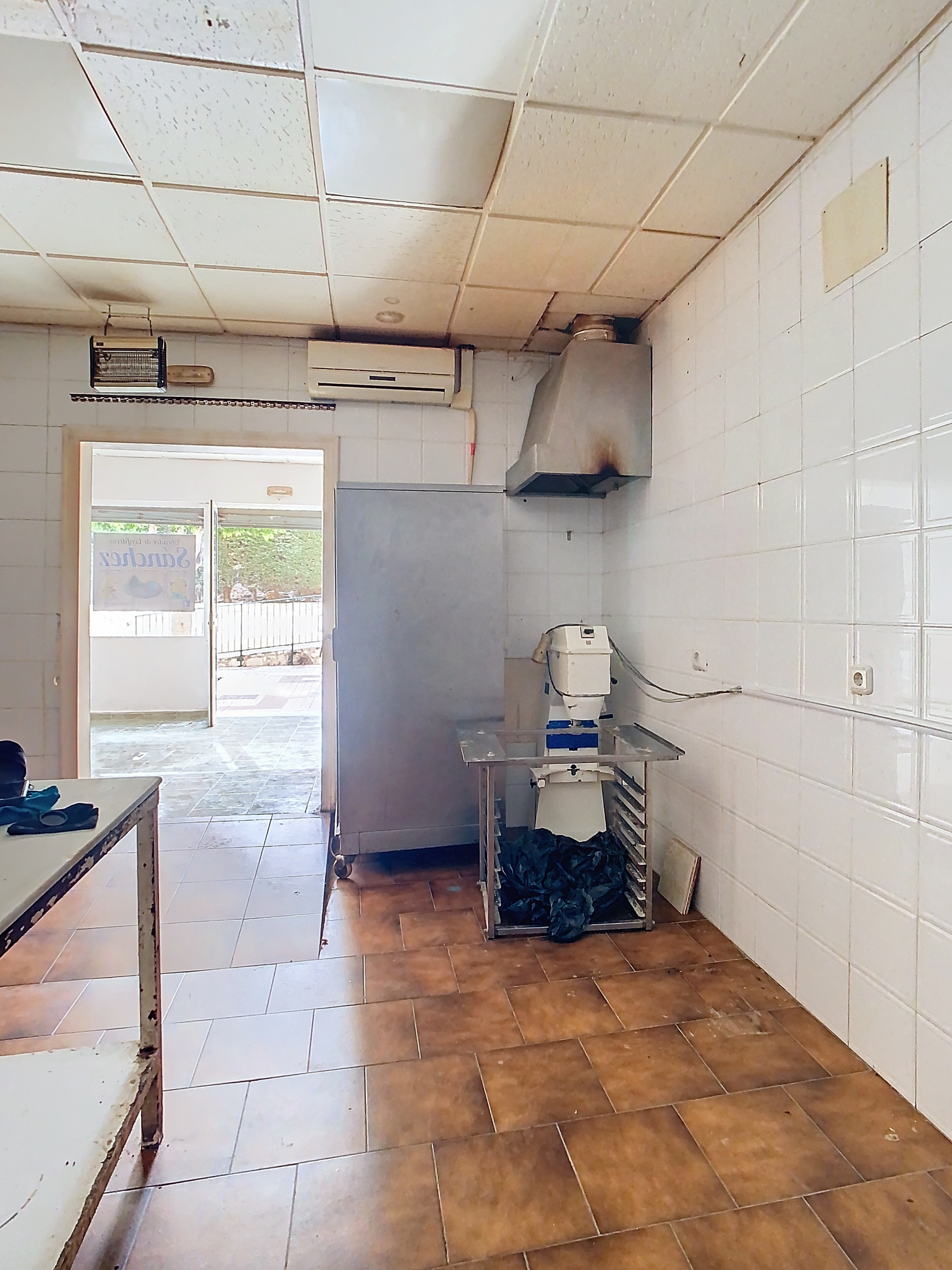 manuel-torres-pena-00012-cbb5163_45448679-b24c-457d-bbe7-cb4da7f7c781