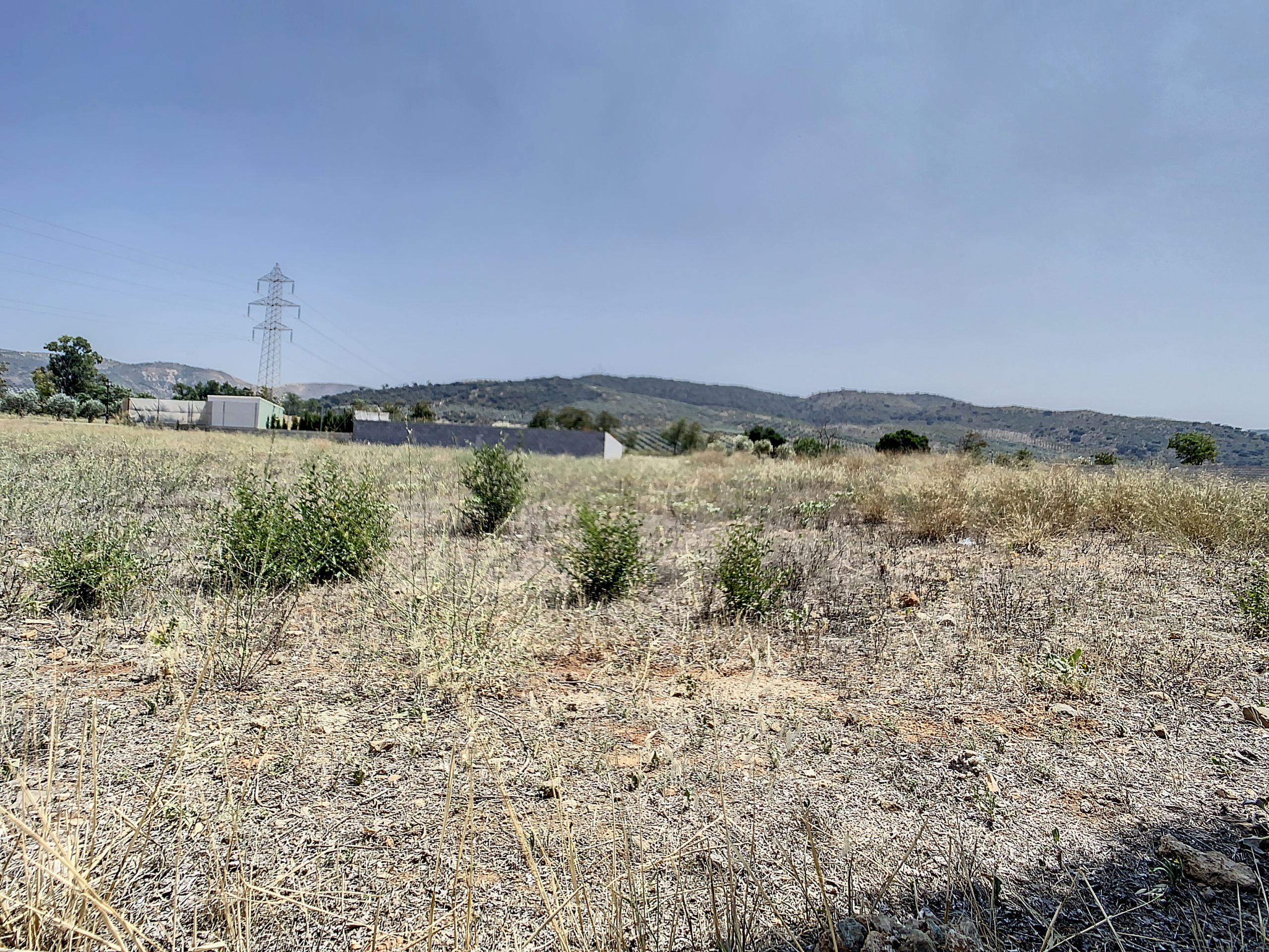 parcelahuertasdelrio-1688047607-1688047616-47650-df048d9_6e6411e5-c6e9-430d-9855-28e04bbcd689