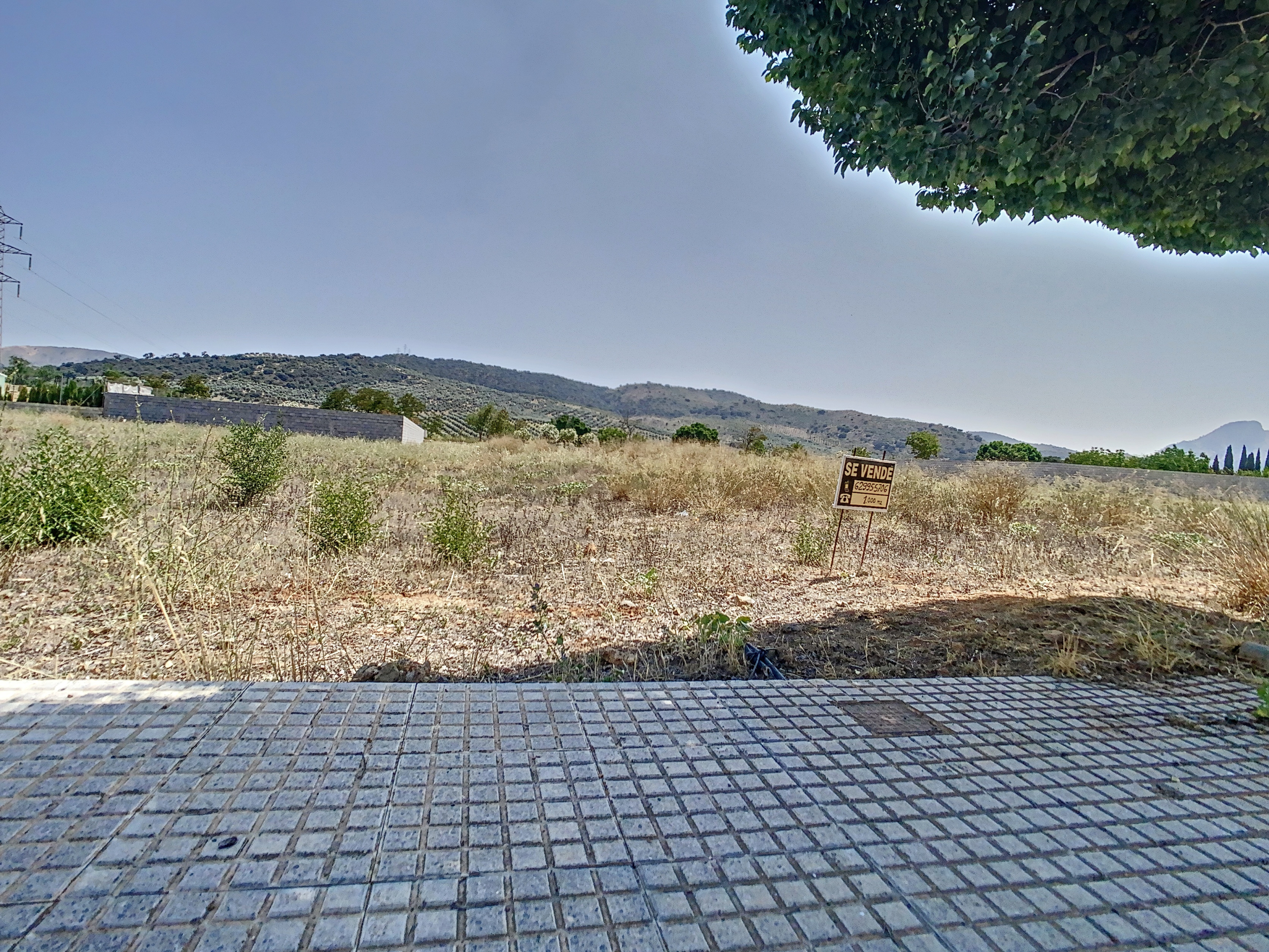 parcelahuertasdelrio-1688047607-1688047729-47839-3451257_b5c4f67d-00ea-4347-a9ef-8f1a5e83a37f