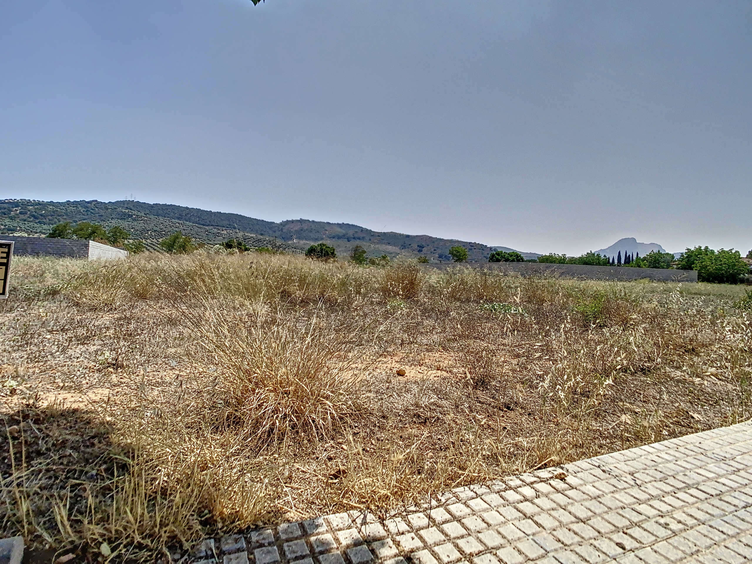 parcelahuertasdelrio-1688047607-1688048022-48055-dfd23f3_e631e4c9-b5ce-4621-a400-09efab77381f