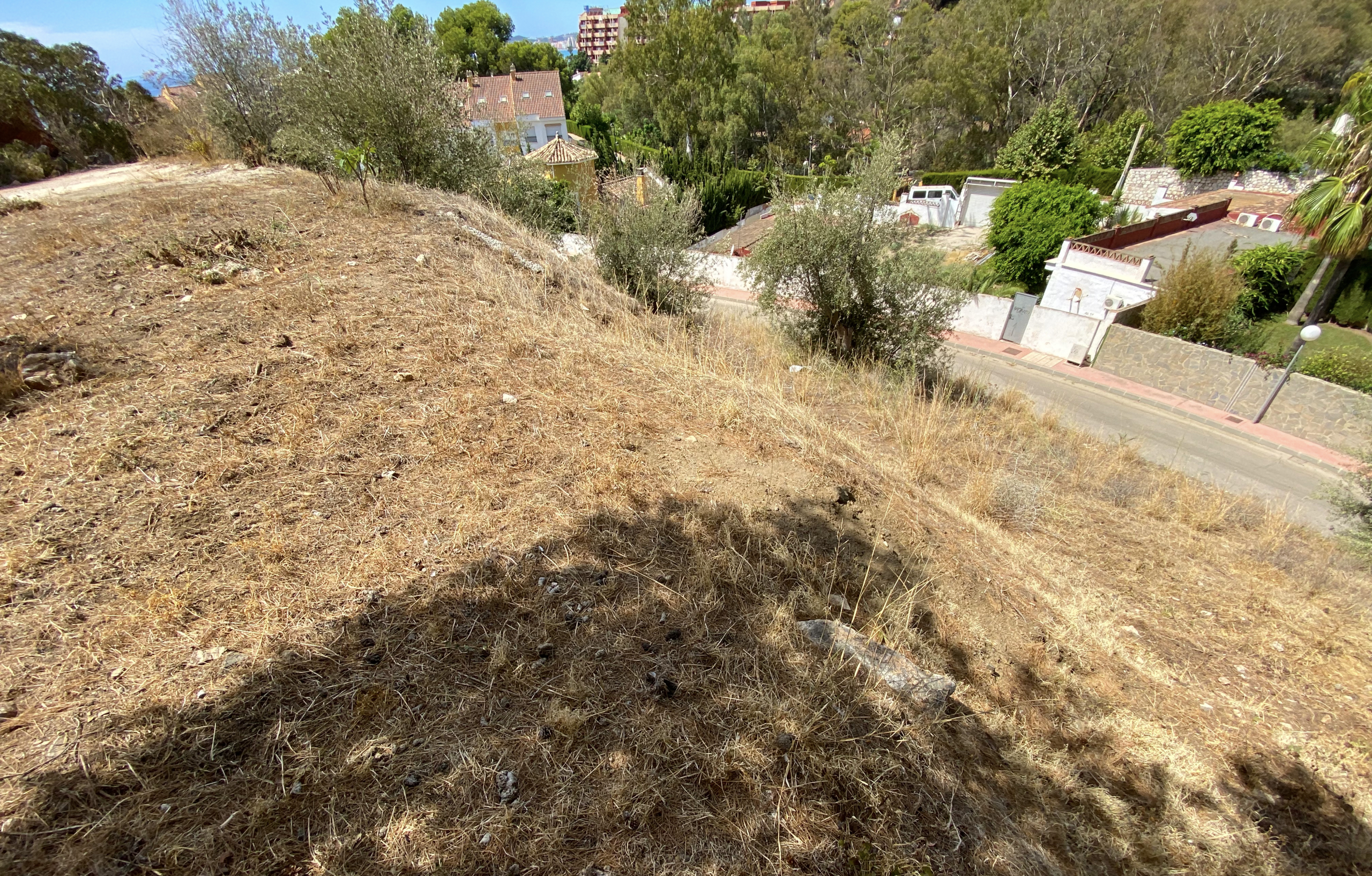 t1-plot-2-jpg_0d0323c5-e142-4136-8fc1-87b311f63e5d