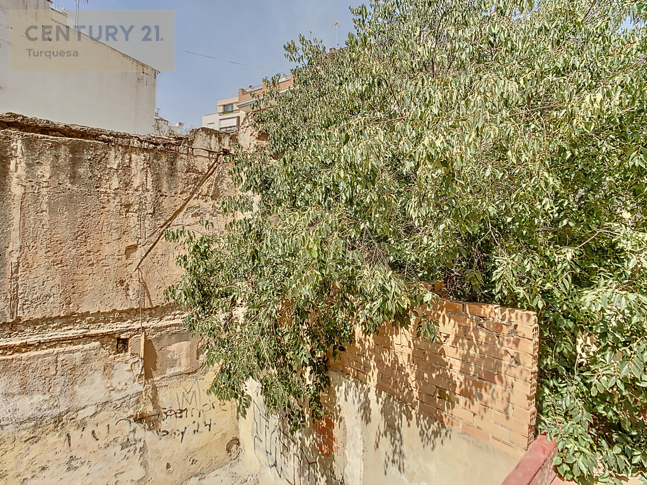 terreno124m2-1693045216-1693046024-46033-753be77_091a2fb6-6e56-4d9b-ab9c-47cf5588539f