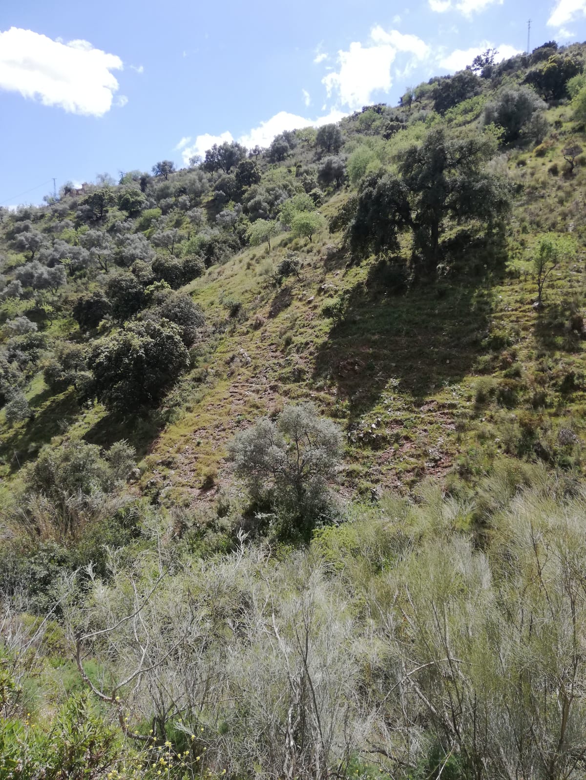 whatsapp-image-2019-04-10-at-15-33-13-1-_a400274c-53fb-4f8c-8c99-ffe54ddc1be9