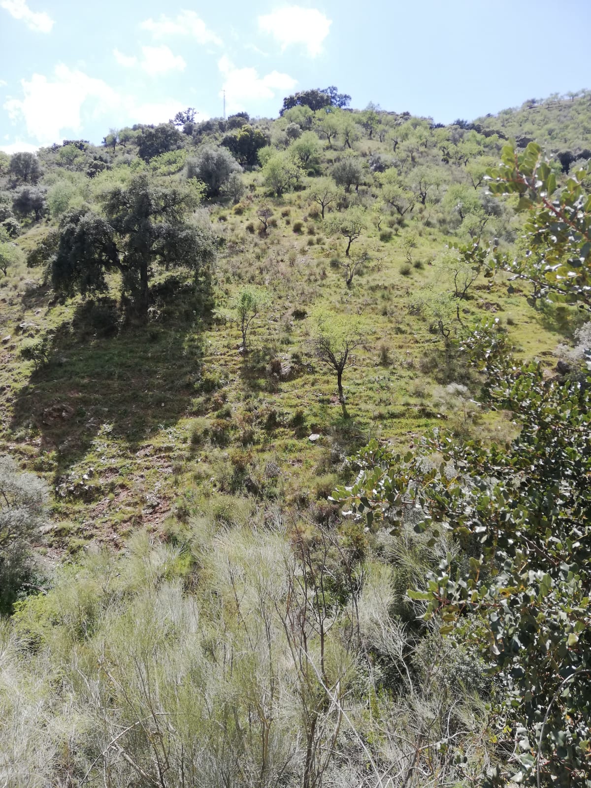 whatsapp-image-2019-04-10-at-15-33-13-2-_87714bcd-2959-4fca-892f-d44c431cef1b