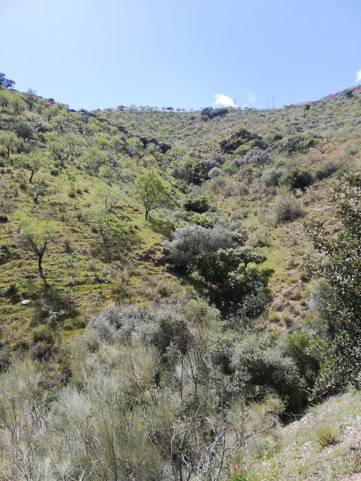 whatsapp-image-2019-04-10-at-15-33-13-3-_e443fd06-b8be-4e25-b213-b6496b01944c