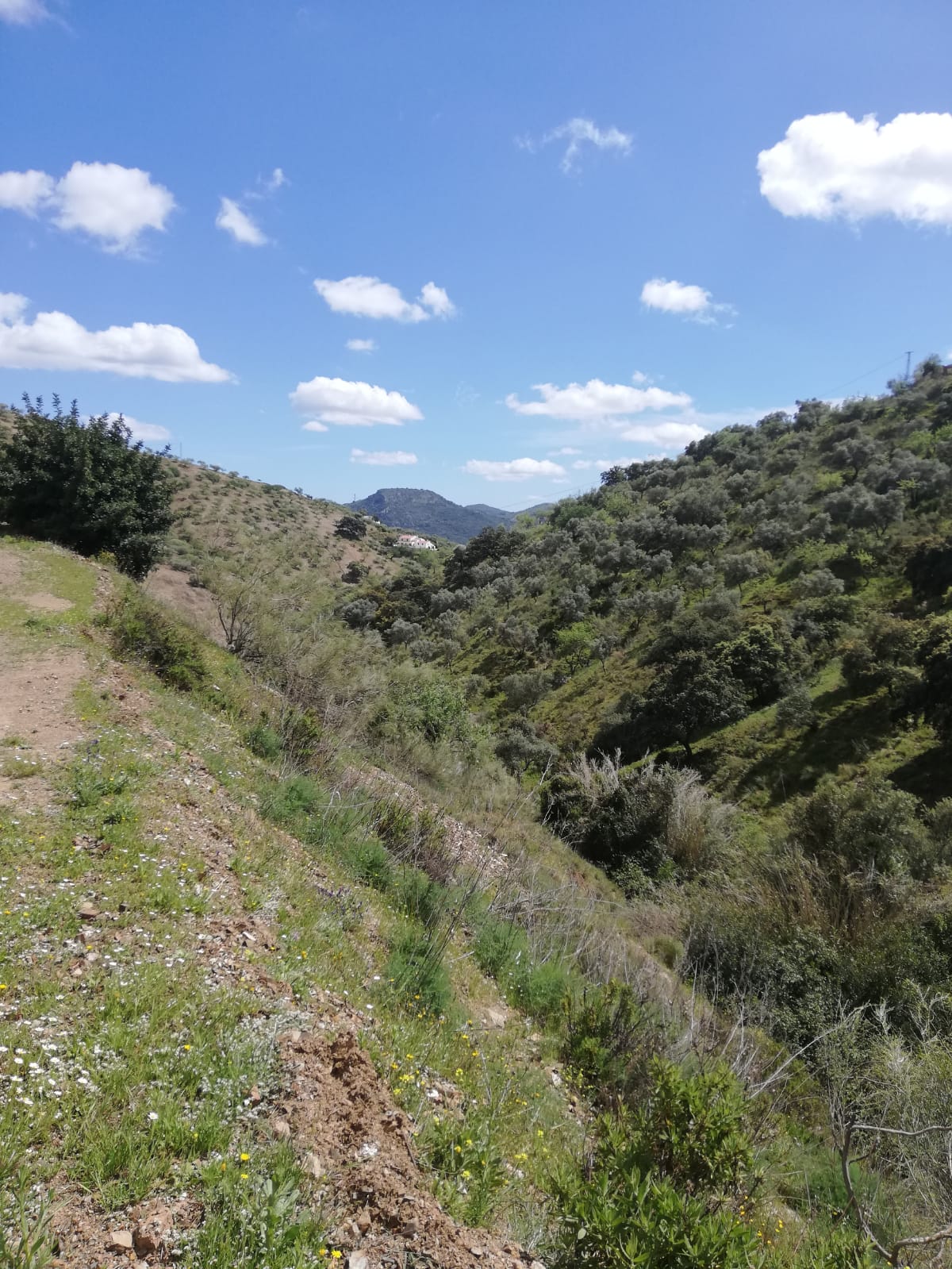 whatsapp-image-2019-04-10-at-15-33-13_7ce33dd0-cac0-4816-bc18-f0feb137a381