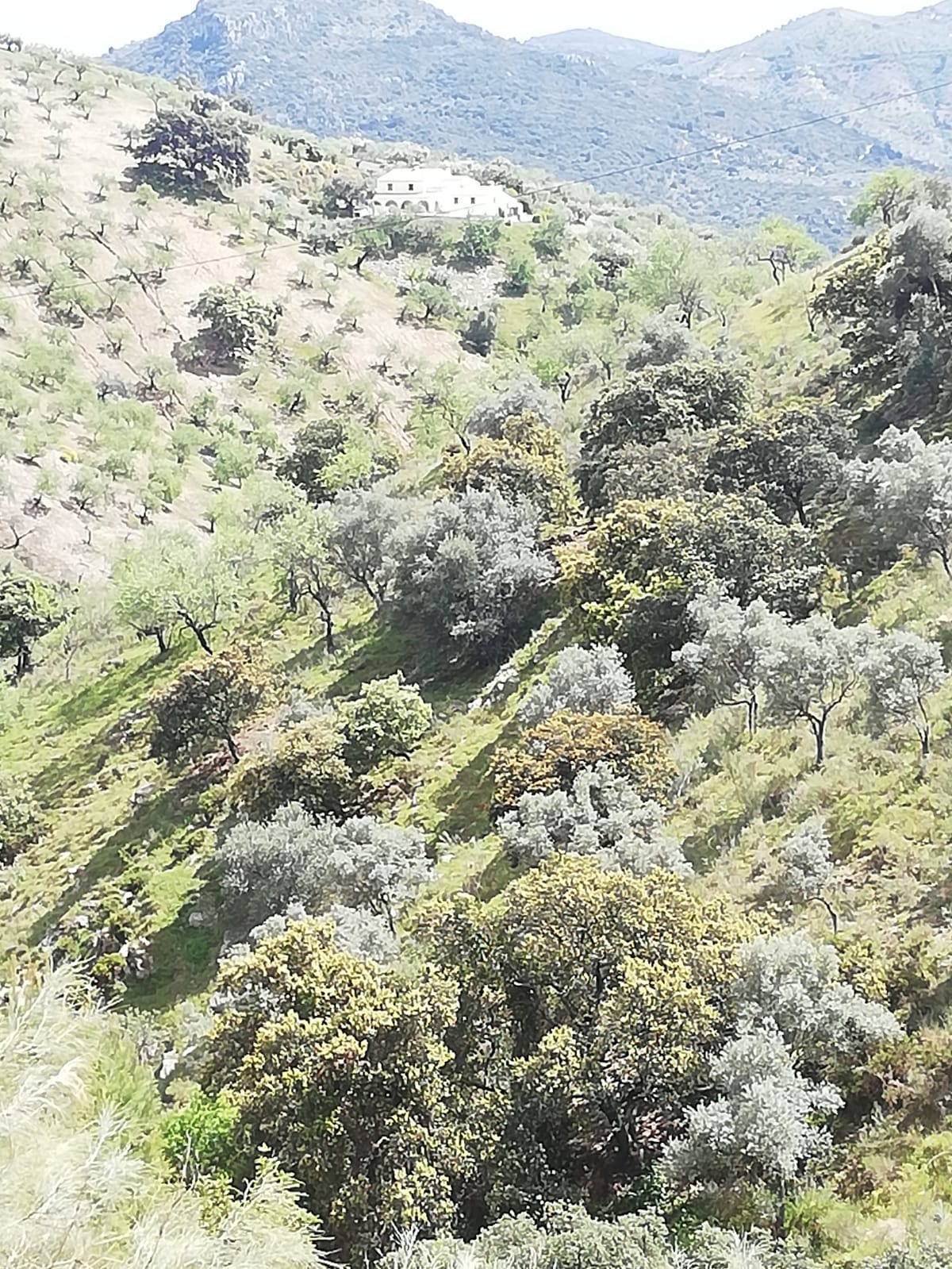 whatsapp-image-2019-04-10-at-15-33-14-1-_ebd09ba5-444d-416c-a82e-9b29fcd53b64