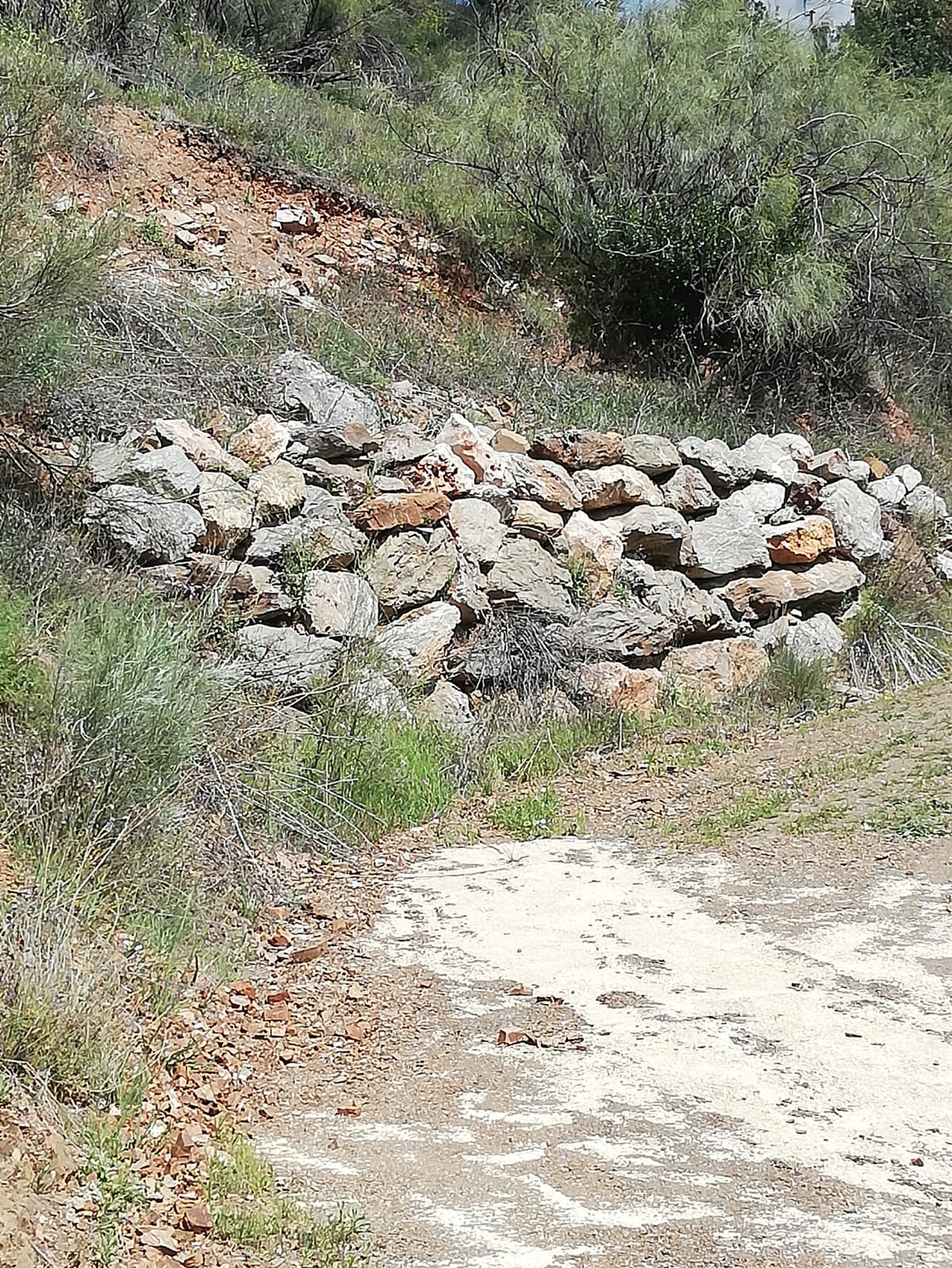 whatsapp-image-2019-04-10-at-15-33-14-2-_4cfe3850-1638-48ec-8261-e8e3a9a43cd4