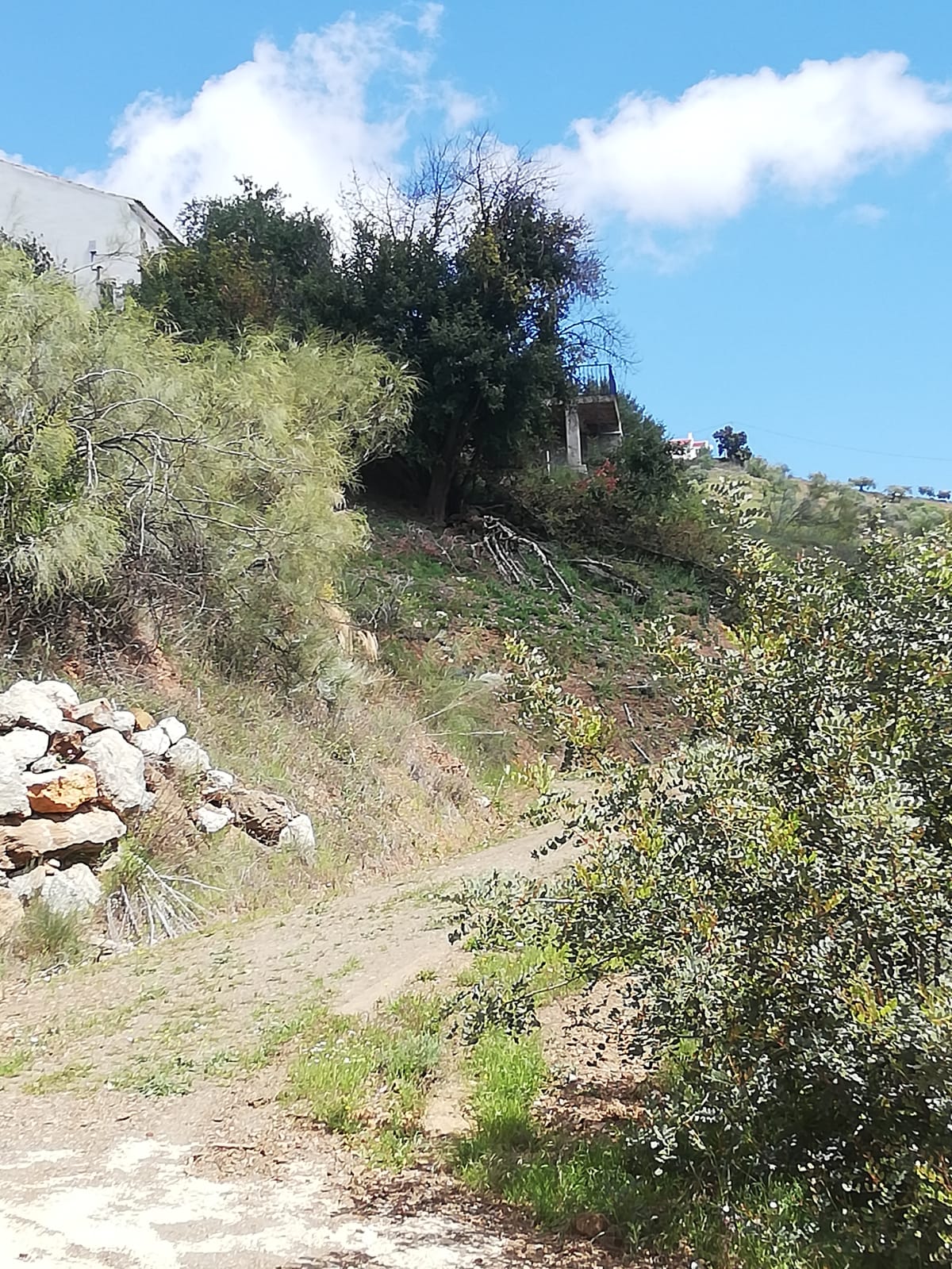 whatsapp-image-2019-04-10-at-15-33-14-3-_3cdaa6c2-8646-4982-9281-5c06b5a7237c