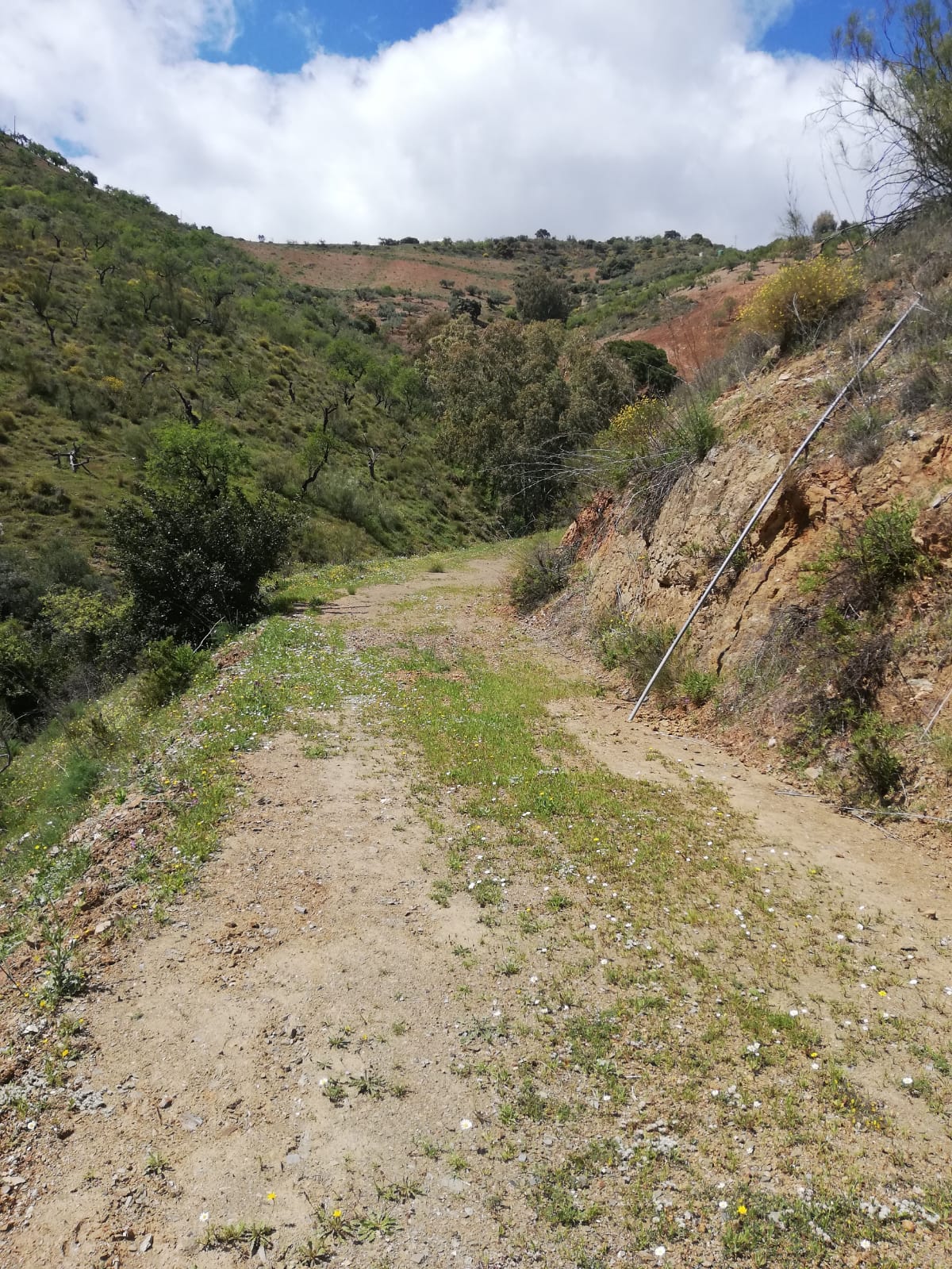 whatsapp-image-2019-04-10-at-15-33-14_7232abac-92f0-45a8-89bf-b4bebc67bd20