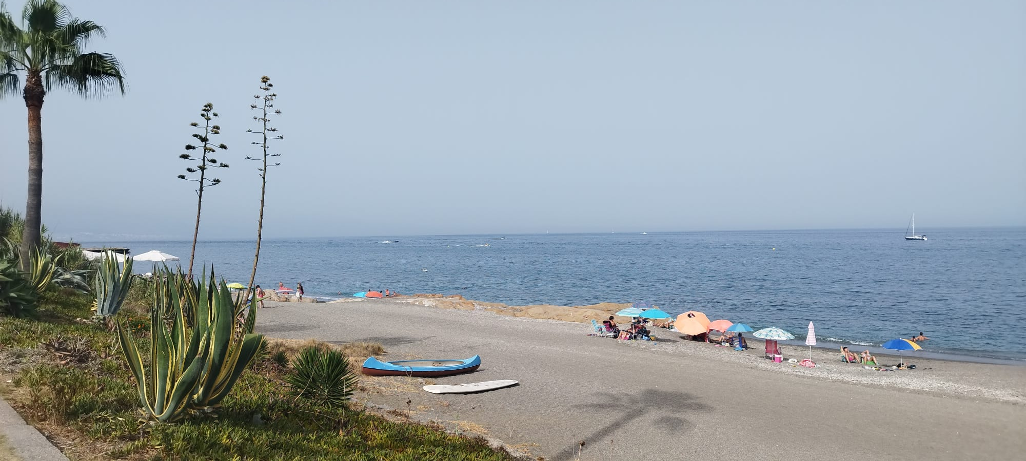 whatsapp-image-2023-08-11-at-12-24-18_2fc3ed41-61b0-4fb6-a593-e0f6fb726207