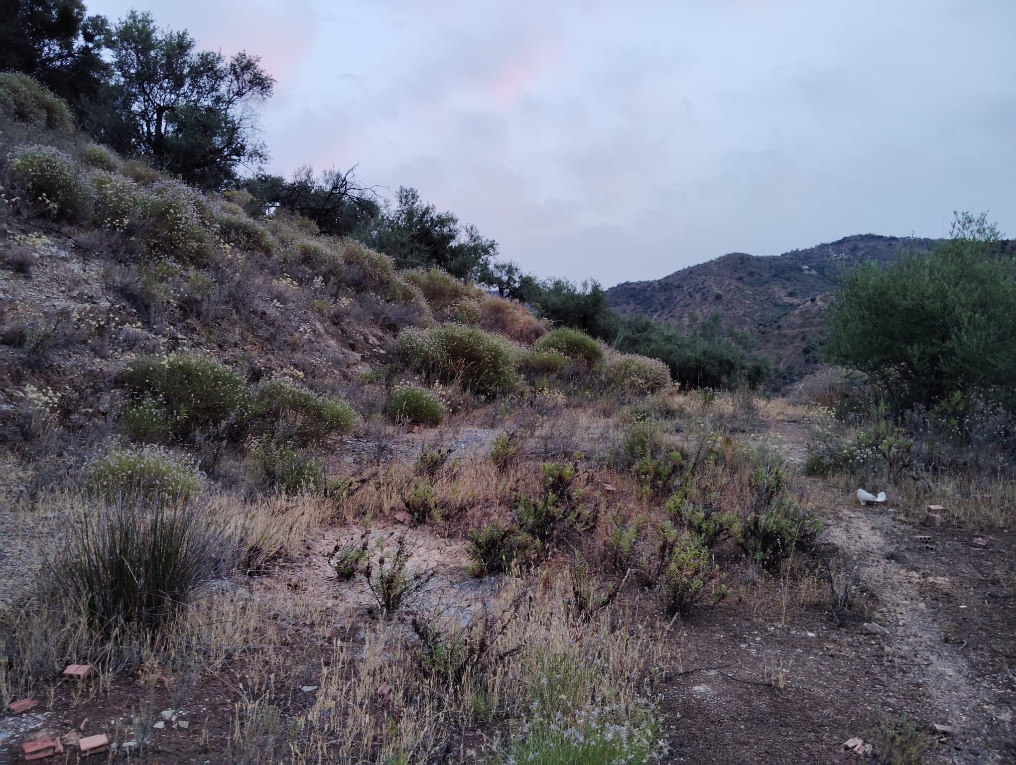 whatsapp-image-2024-07-09-at-18-09-48_81d1bbe3-784f-4010-a2bc-d34cf9268a2c