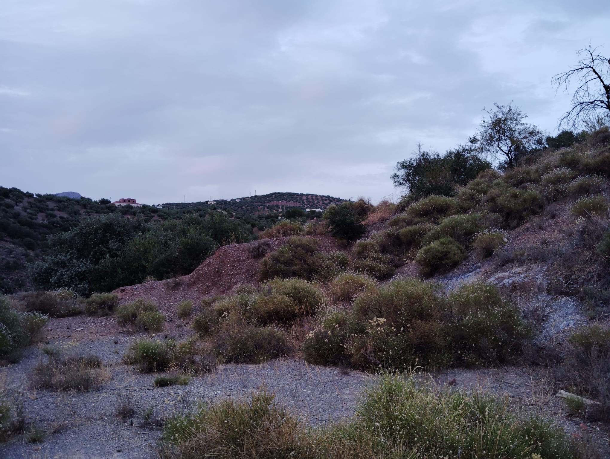 whatsapp-image-2024-07-09-at-18-09-49-1-_91229841-cfd5-4f51-a154-bbecef7fe568