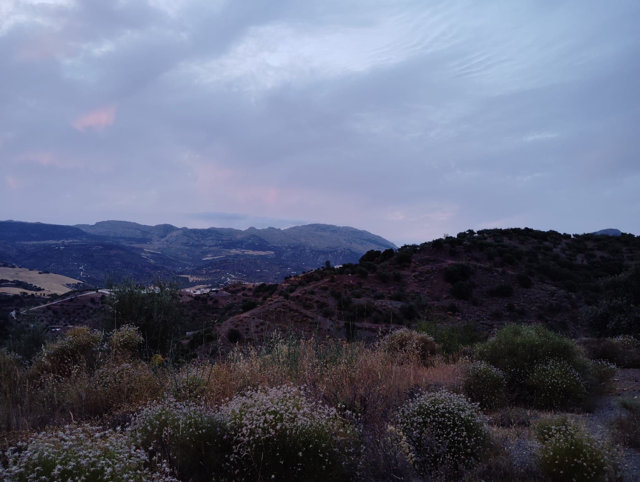 whatsapp-image-2024-07-09-at-18-09-49-2-_b62a5fed-1823-4ec6-bb1f-19c4b08f9d7d