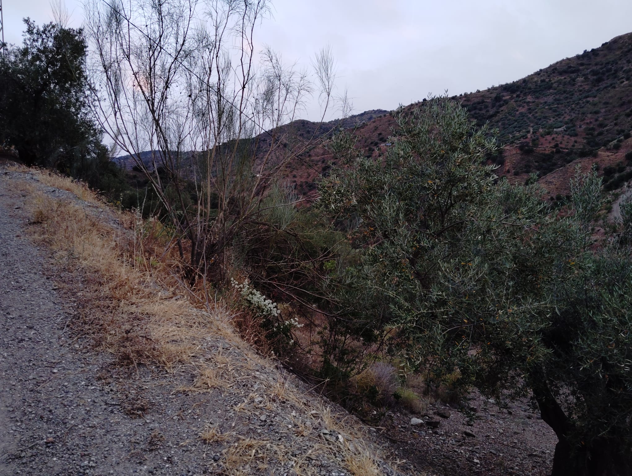 whatsapp-image-2024-07-09-at-18-09-53-1-_f65aa31e-d167-46bd-9924-fac0ddd98aa8