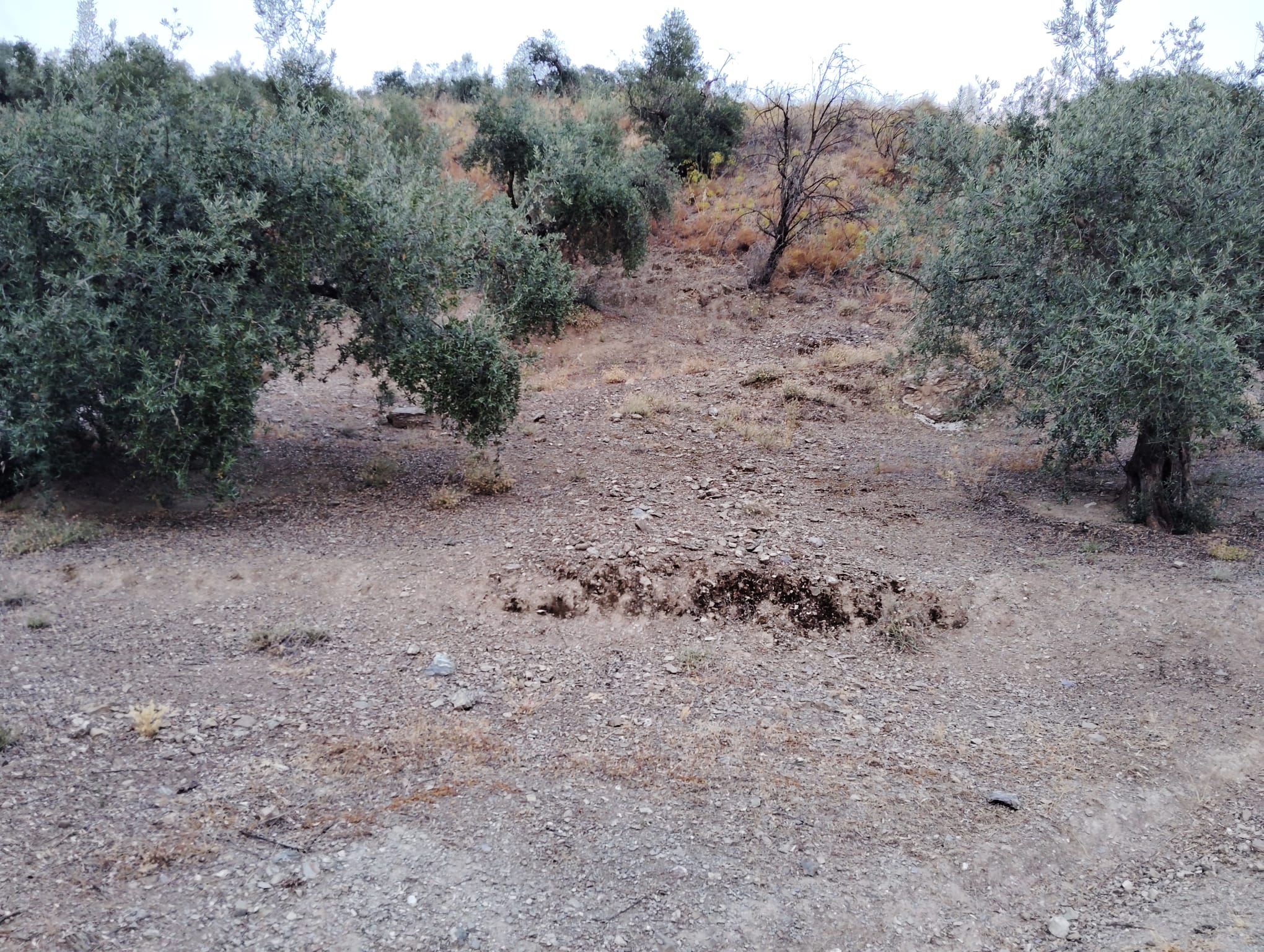 whatsapp-image-2024-07-09-at-18-09-53_337139ba-e426-4fa5-b76d-5f74a0aef3dc