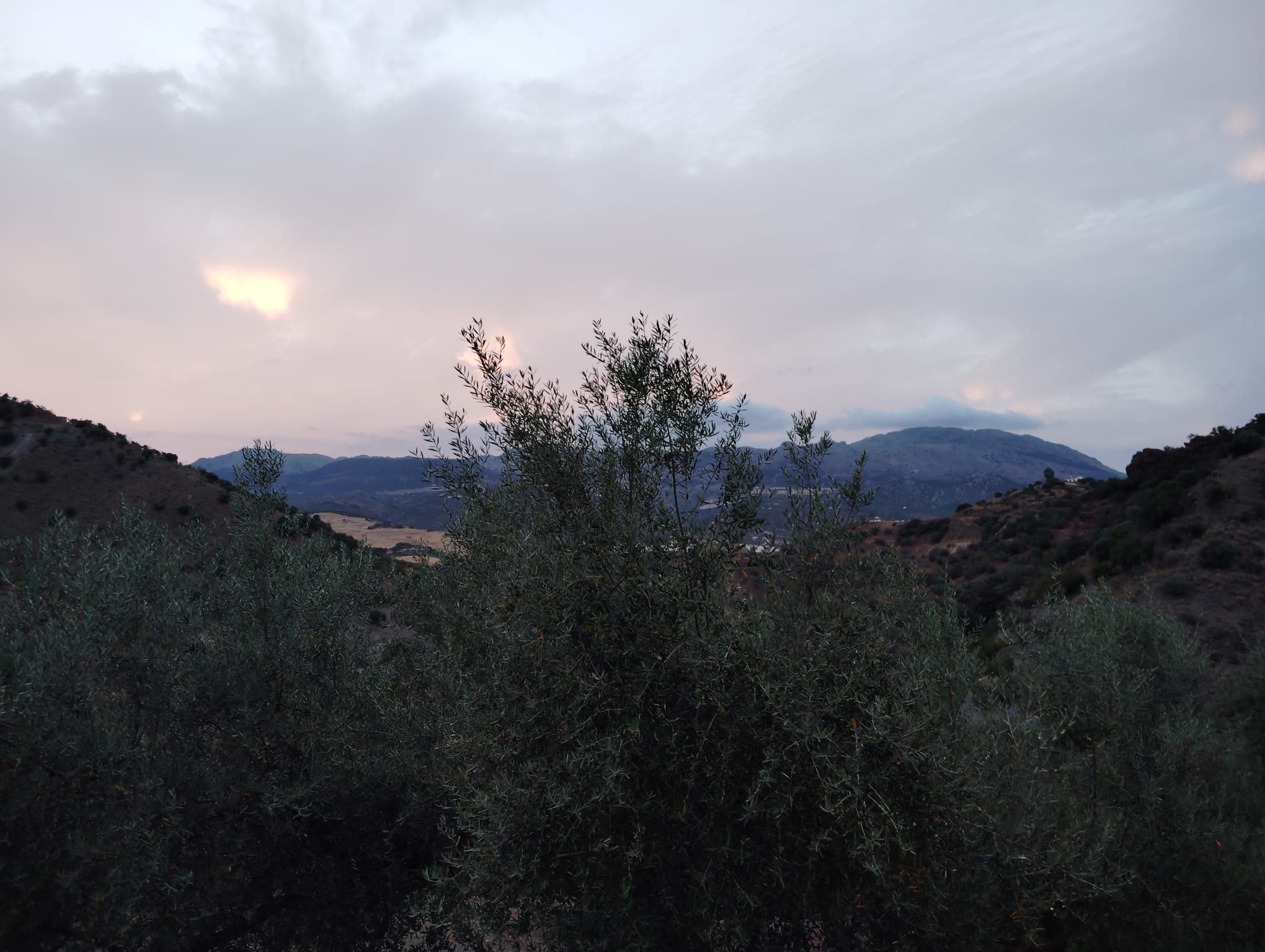 whatsapp-image-2024-07-09-at-18-09-54-1-_da43ada6-458d-4560-895c-40cb038a7a59