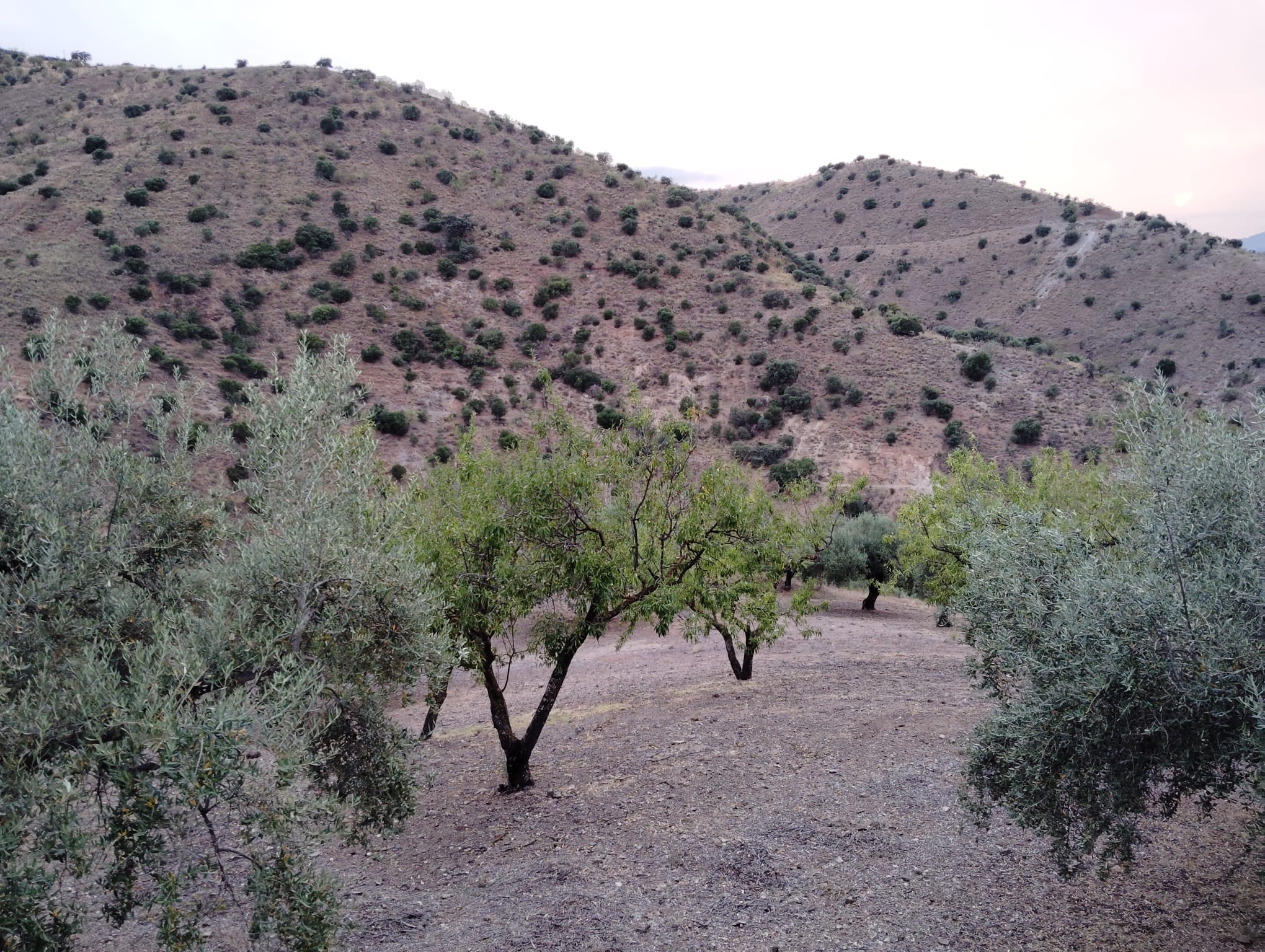 whatsapp-image-2024-07-09-at-18-09-54_e1de5edf-77e5-4efd-af39-bdac6c4f69cf