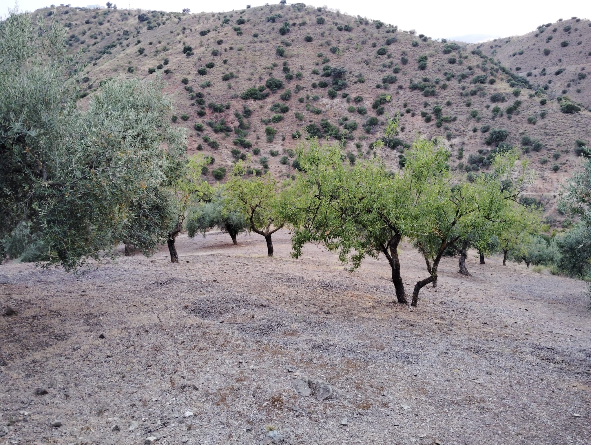 whatsapp-image-2024-07-09-at-18-09-55_4d96c27d-6f7f-4acf-8c6f-9f0eb74bc59c