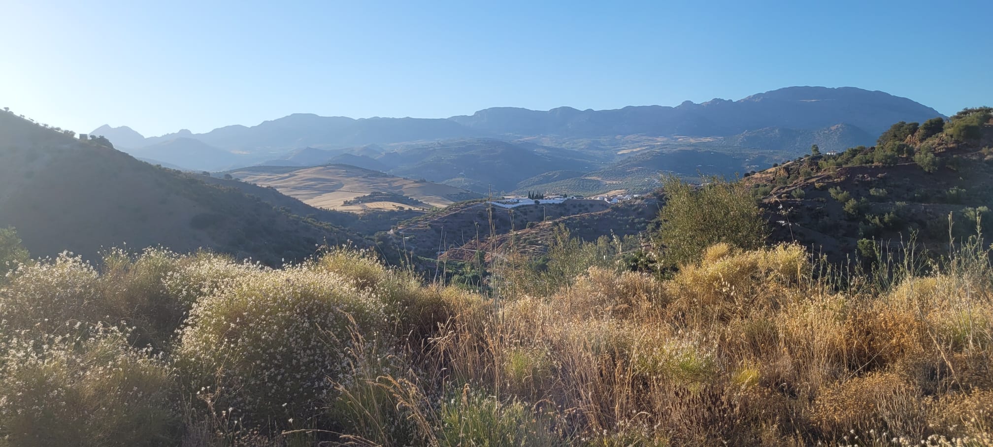 whatsapp-image-2024-08-19-at-12-10-07-1-_238563f0-0b0d-448b-93b1-c99eca20d28c