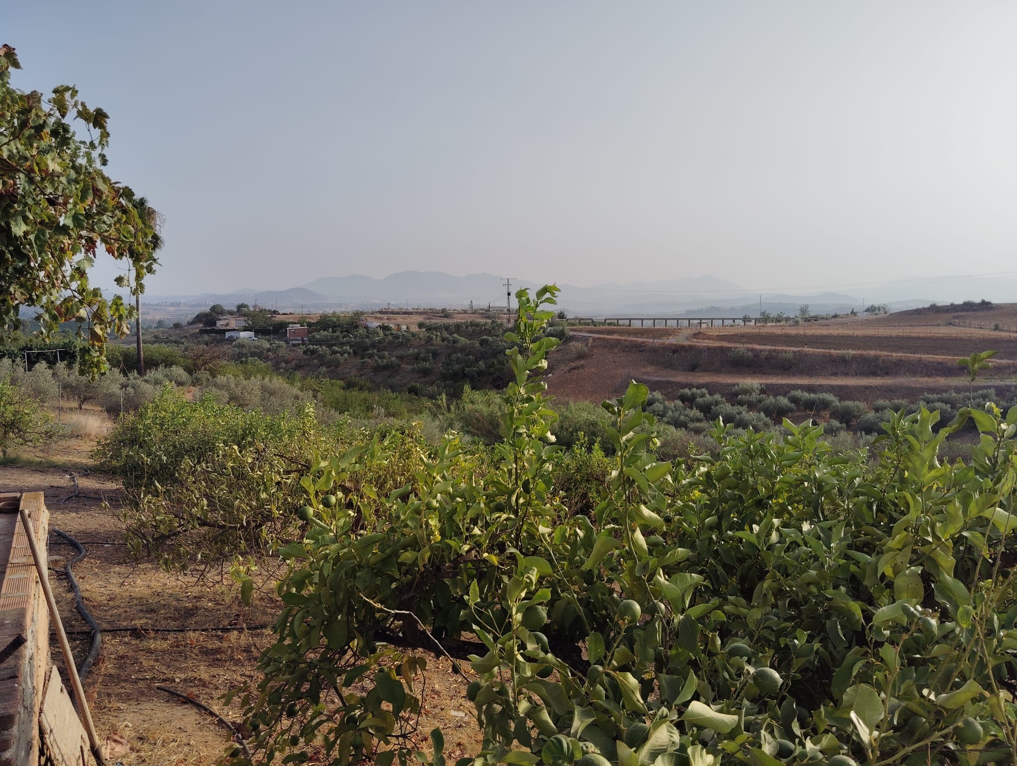 whatsapp-image-2024-08-26-at-18-04-47-1-_782b9823-95e8-4abd-a021-874aab19b1db